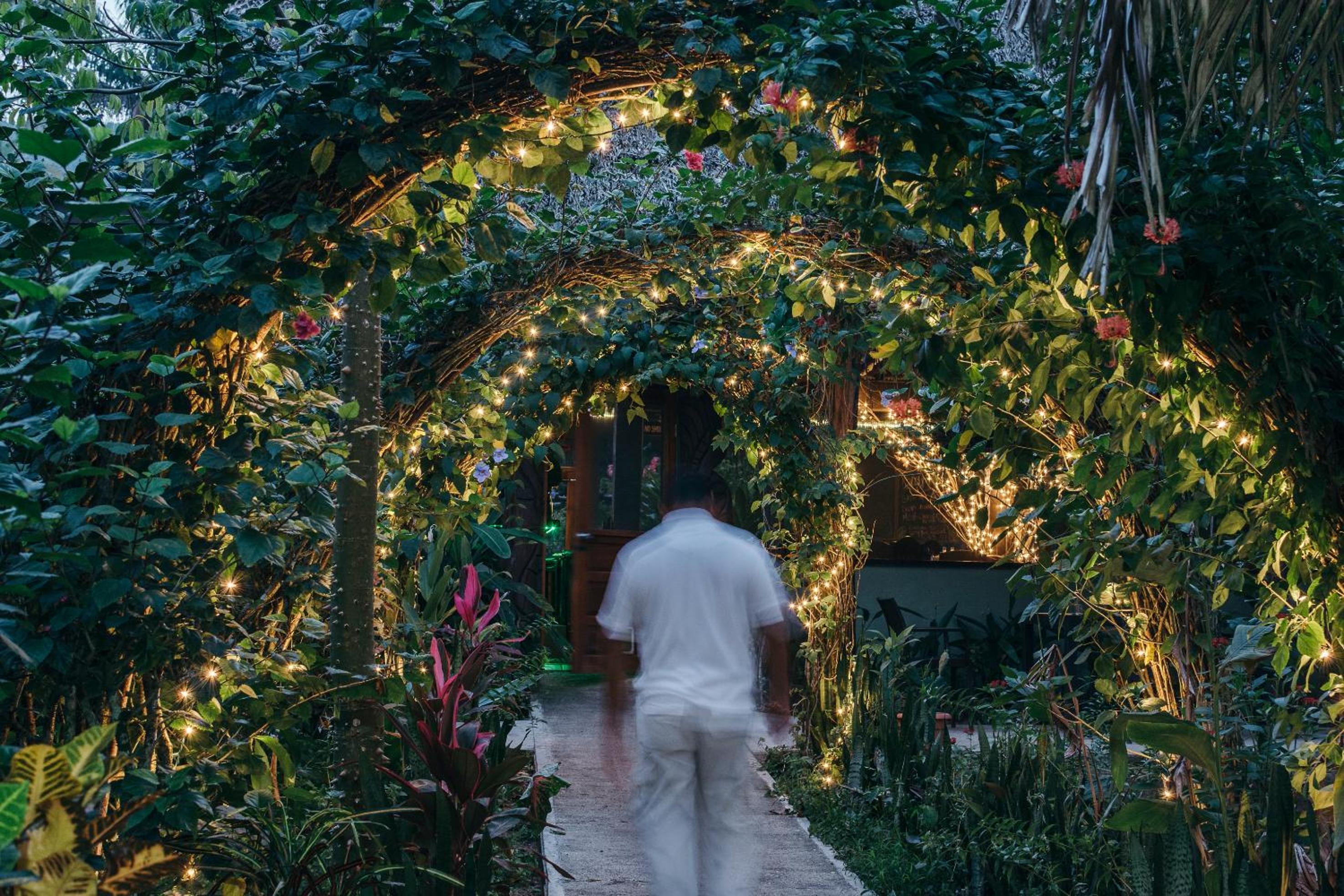 Bocawina Rainforest Resort