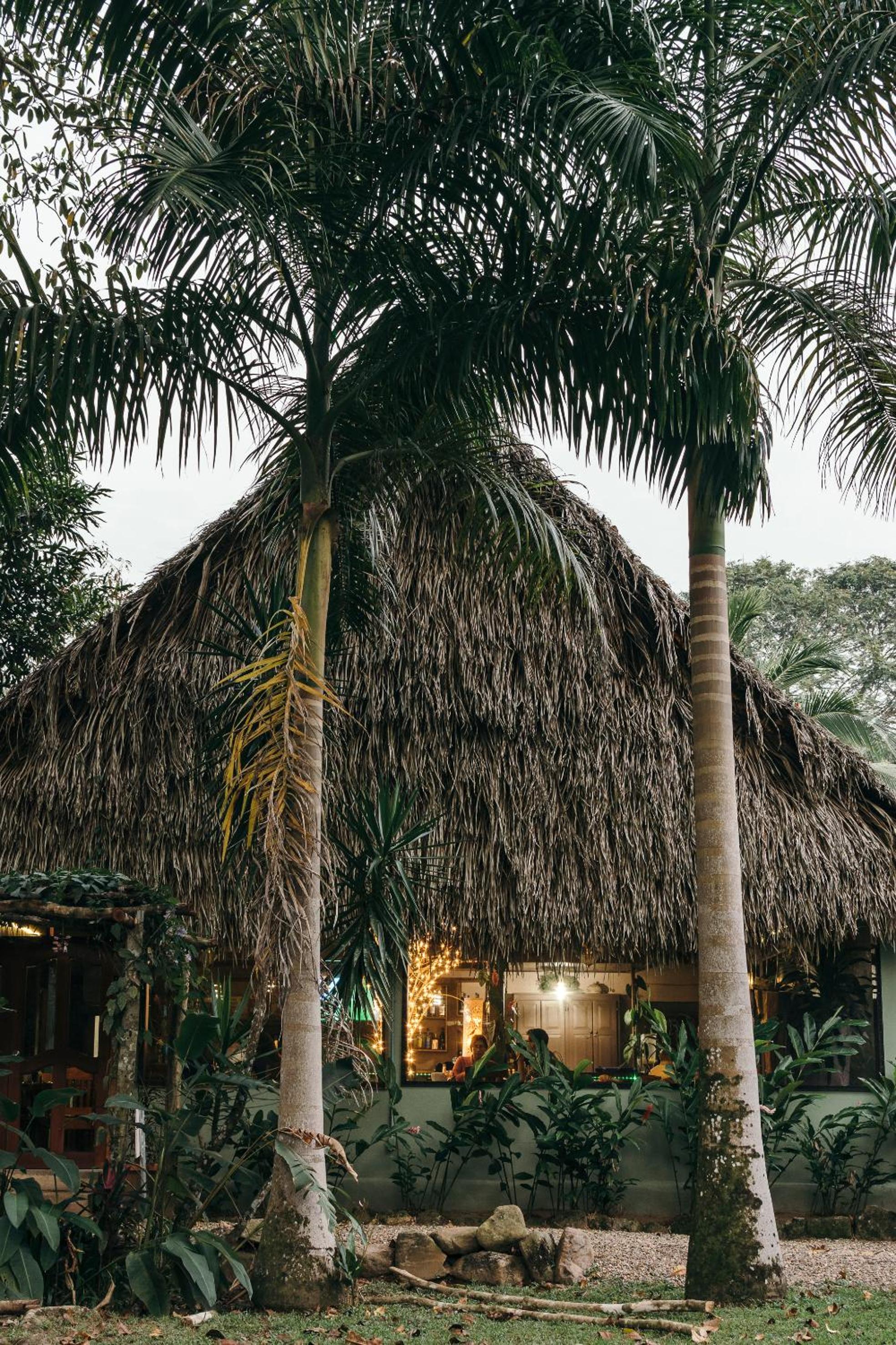 Bocawina Rainforest Resort