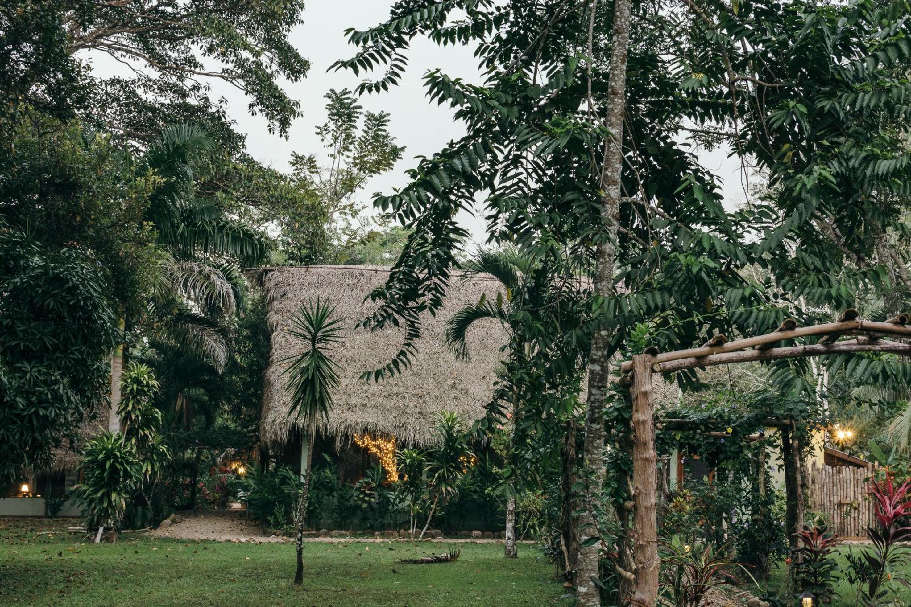 Bocawina Rainforest Resort