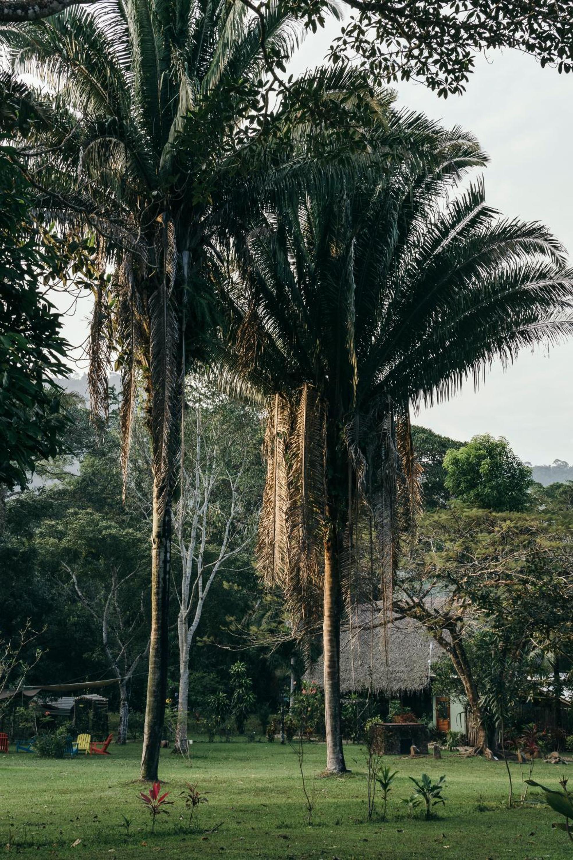 Bocawina Rainforest Resort