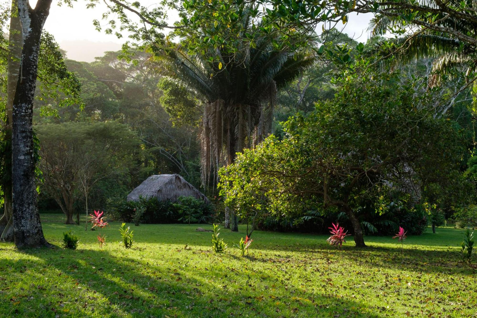 Bocawina Rainforest Resort