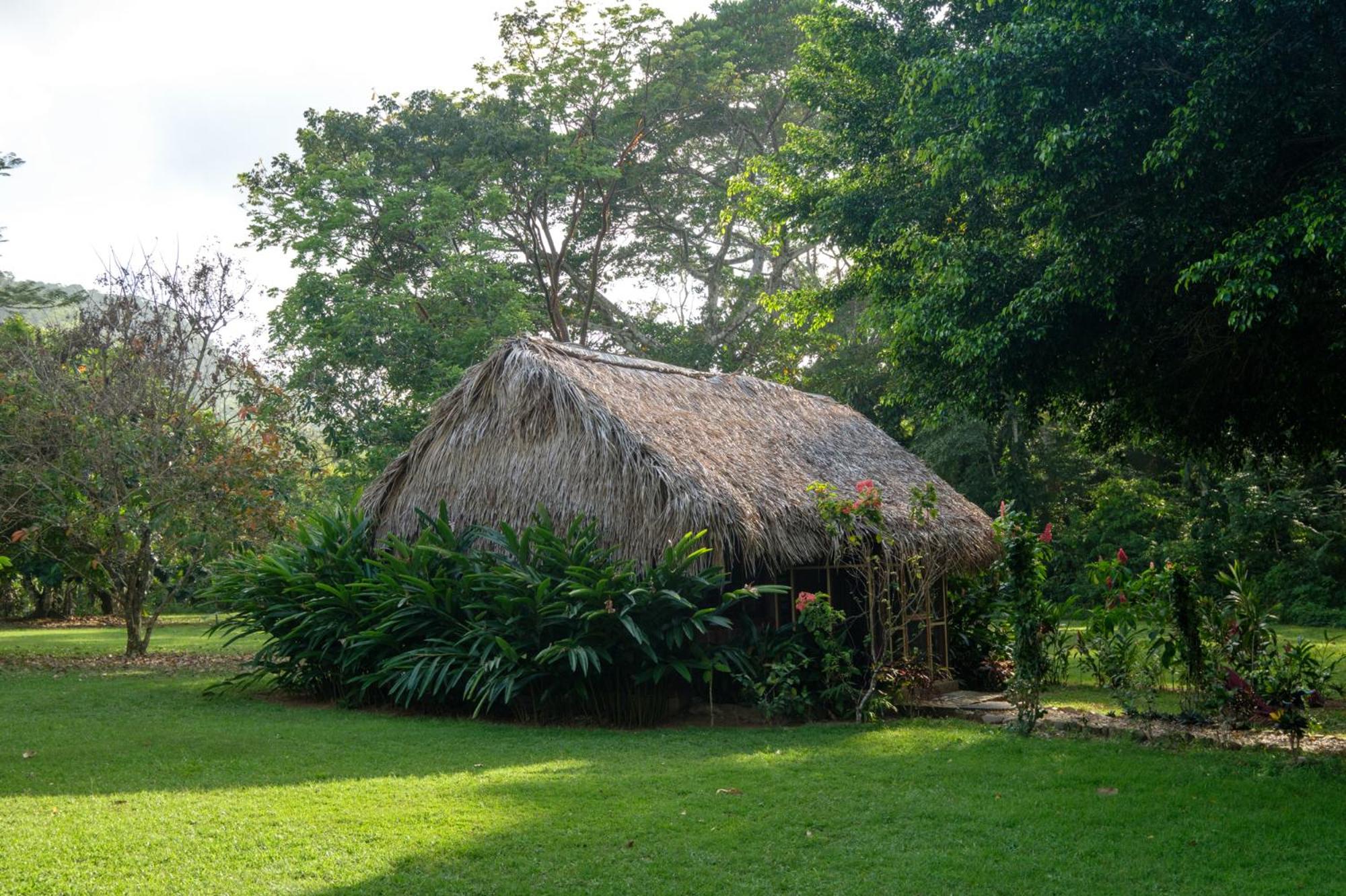 Bocawina Rainforest Resort