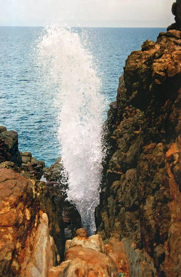 Photo 47