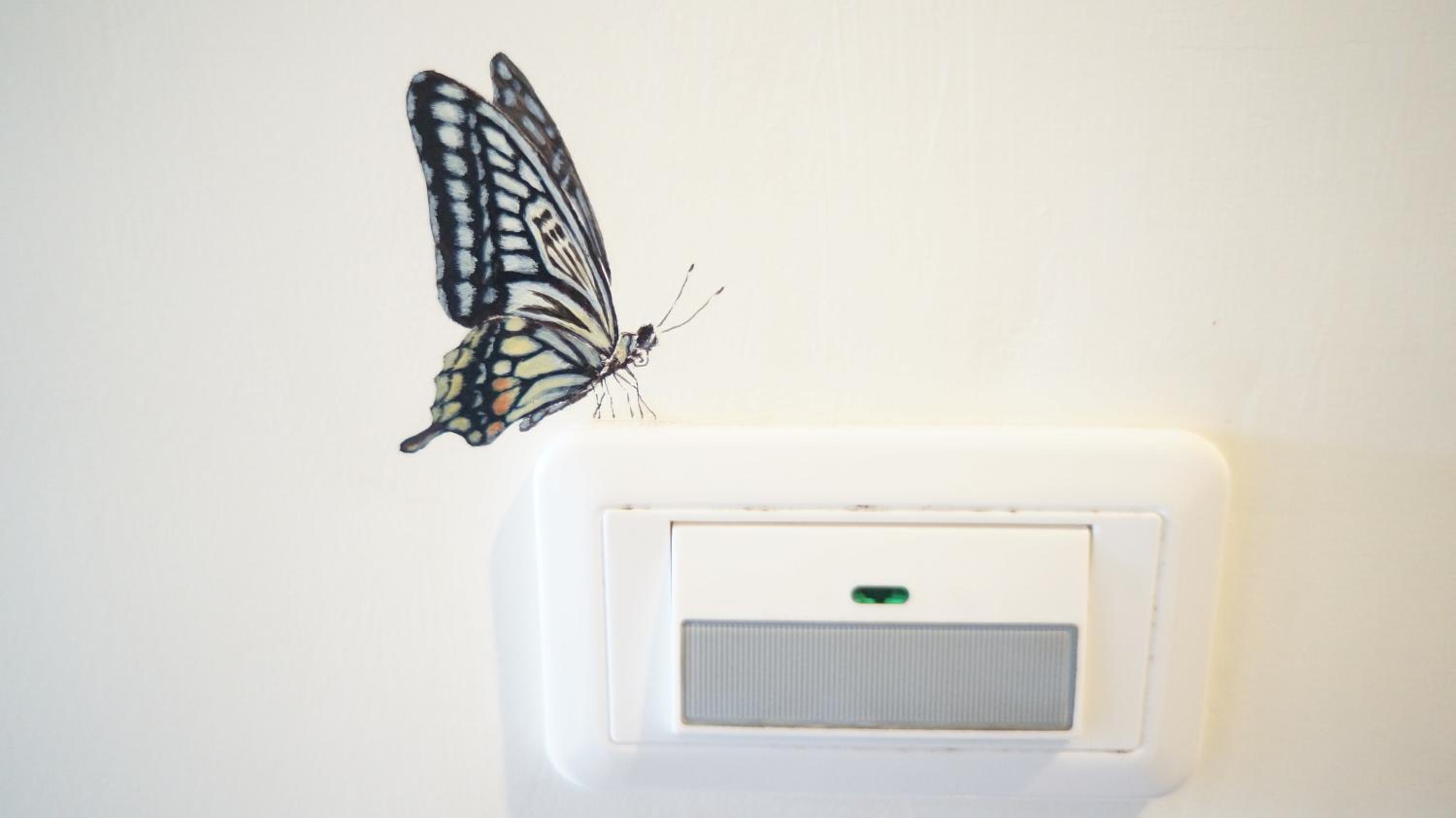 Butterfly B&B