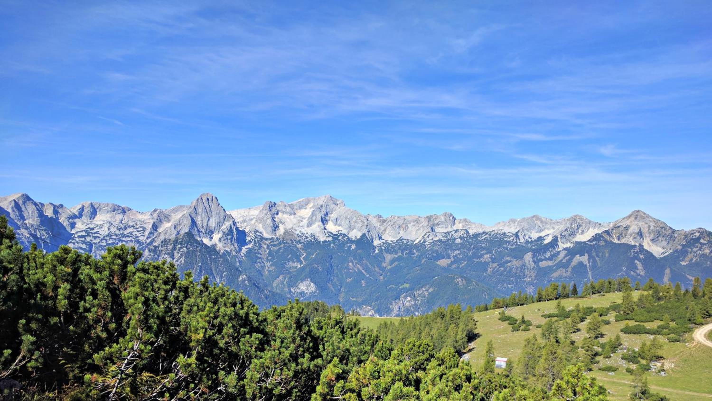 Ferienhaus Mountain View