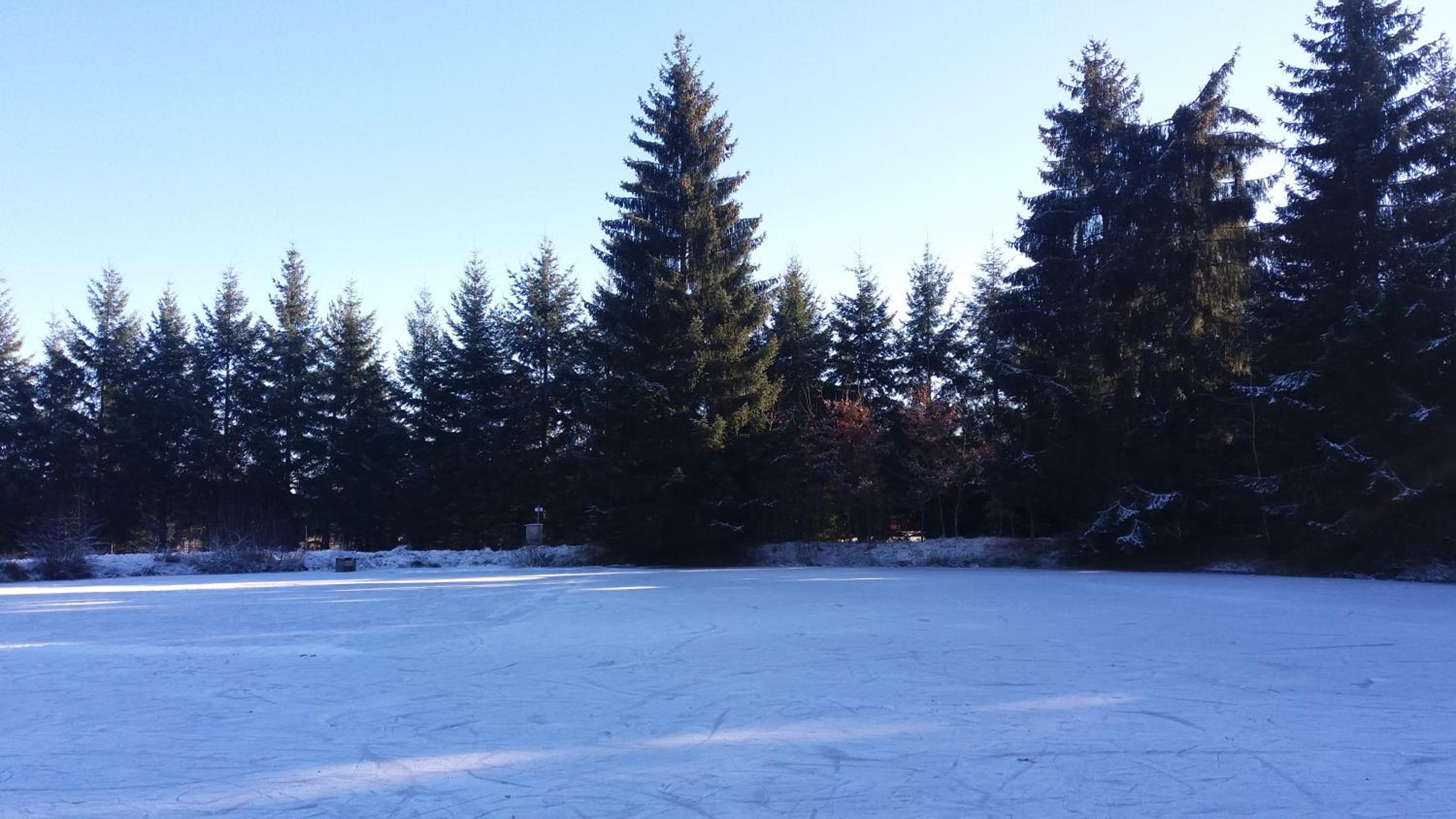 Photo 44