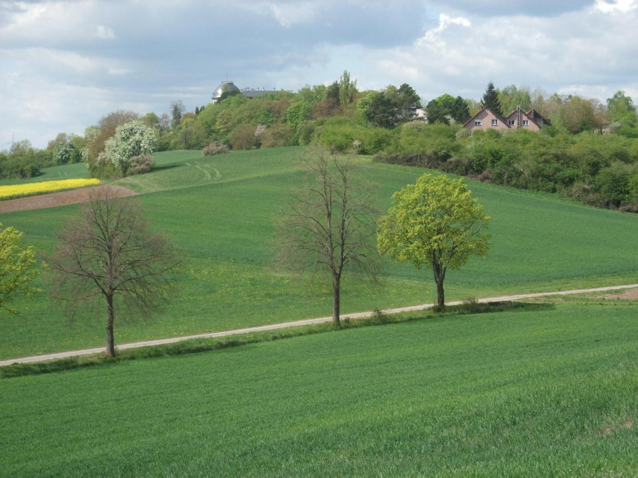 Ferienwohnung Bockelt view 4