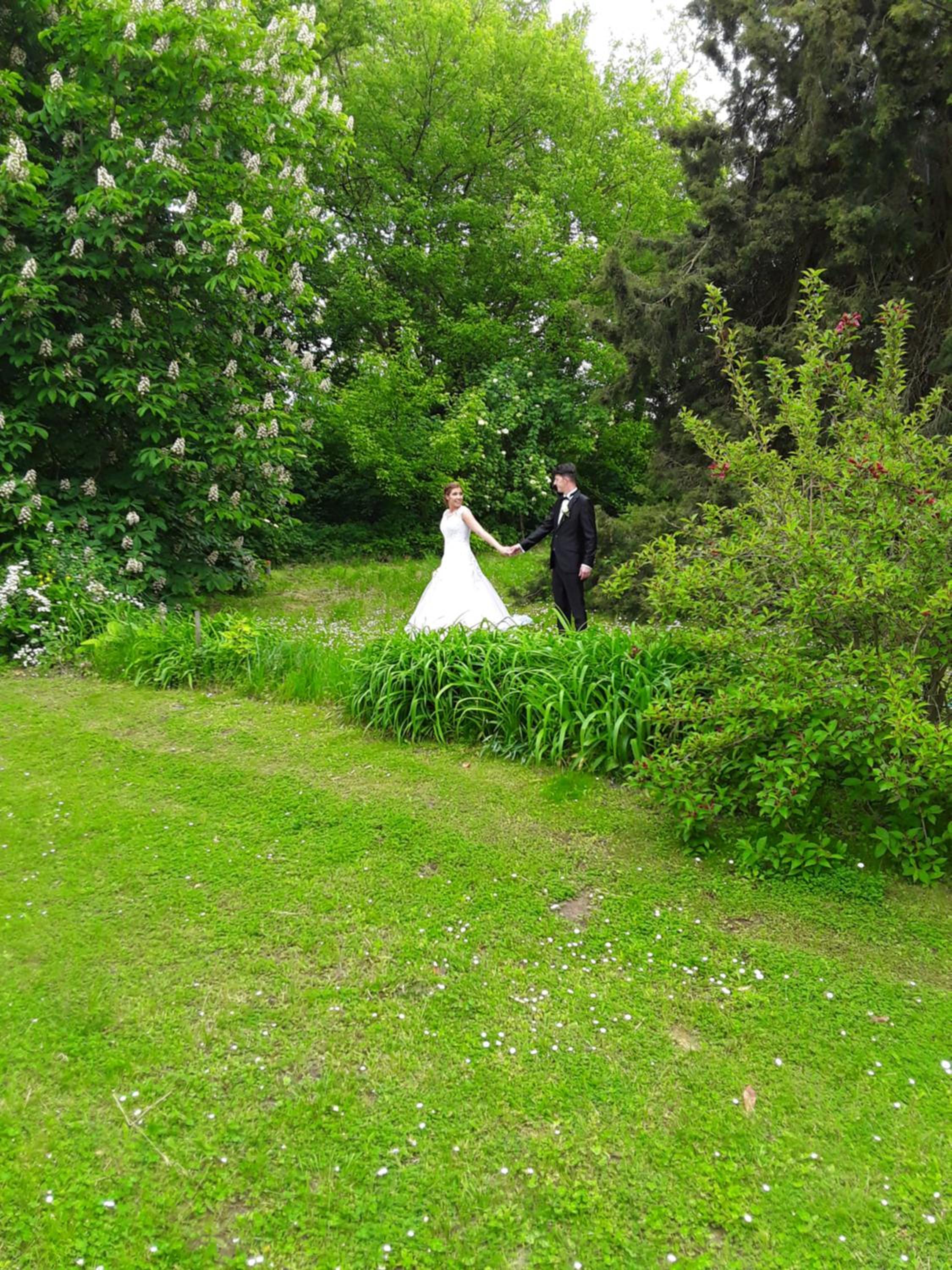 Photo 6