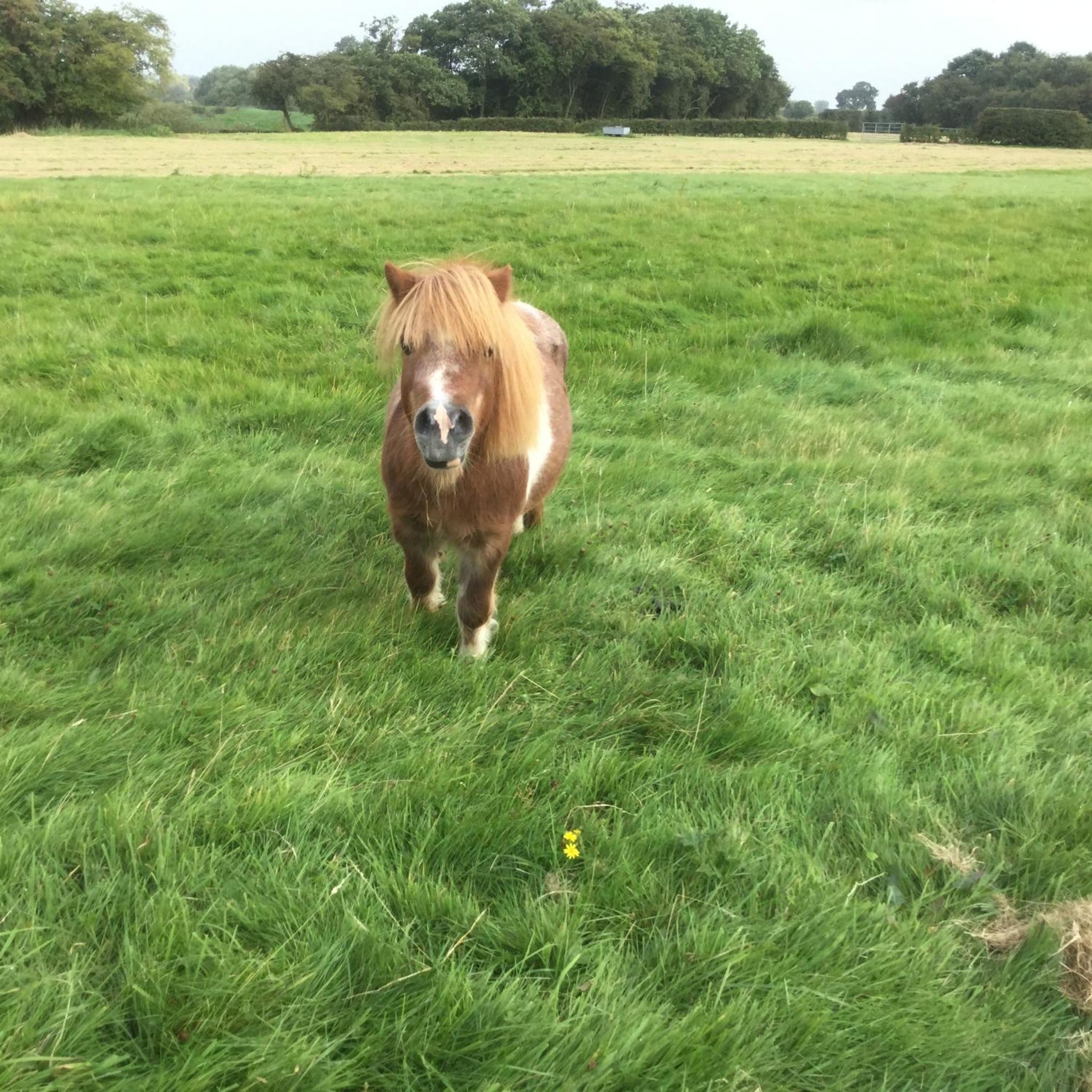 Crossgate Farm