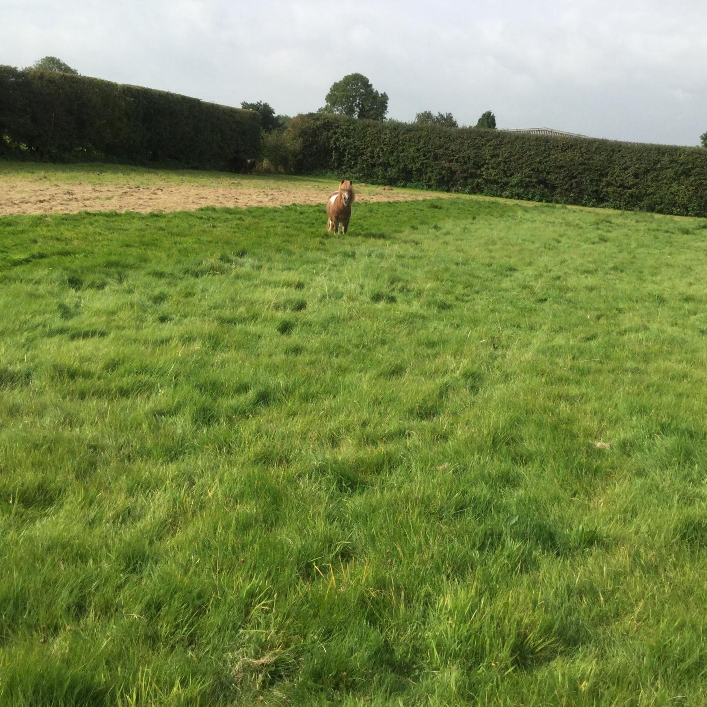 Crossgate Farm
