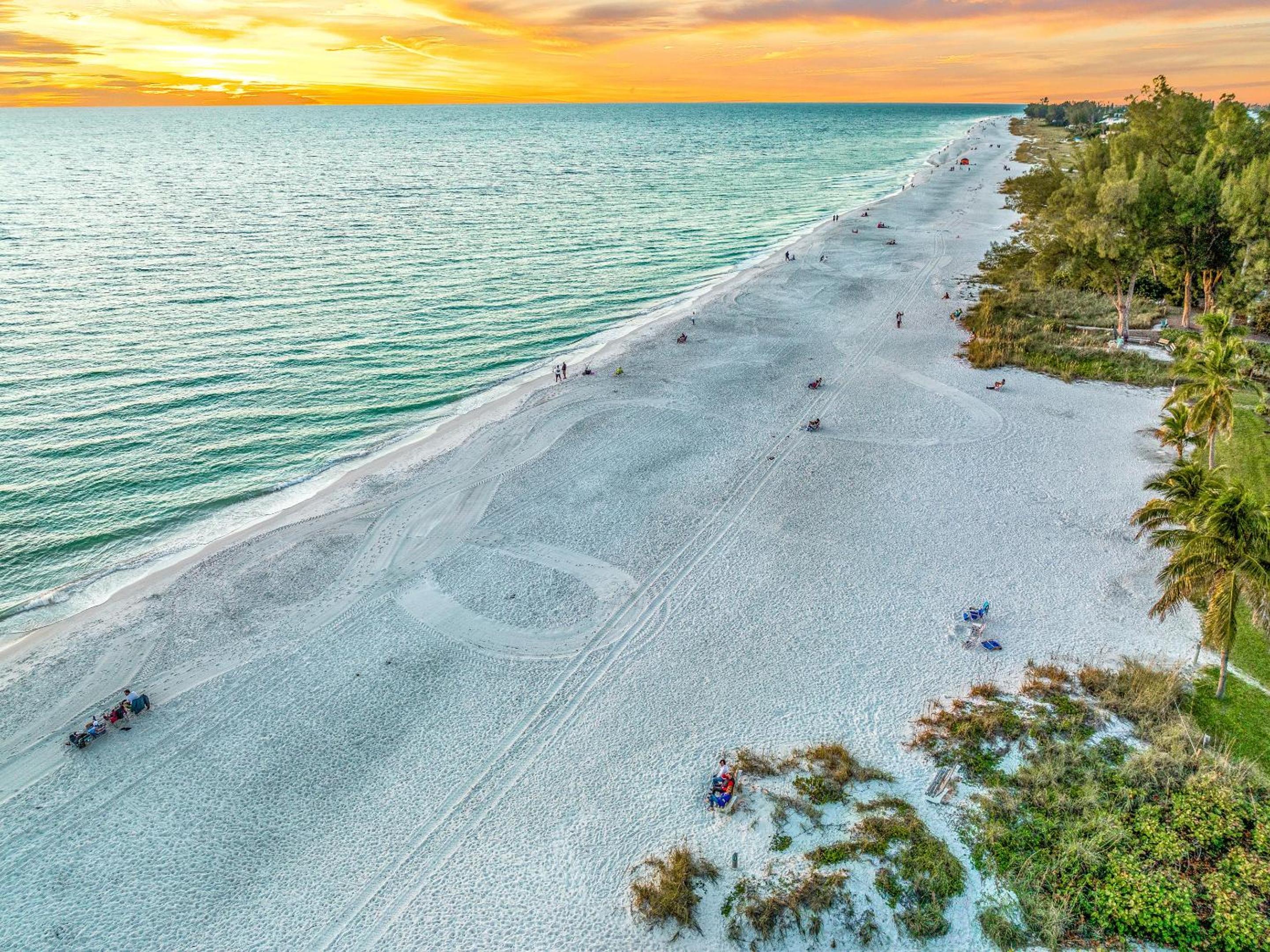 Pure Beach