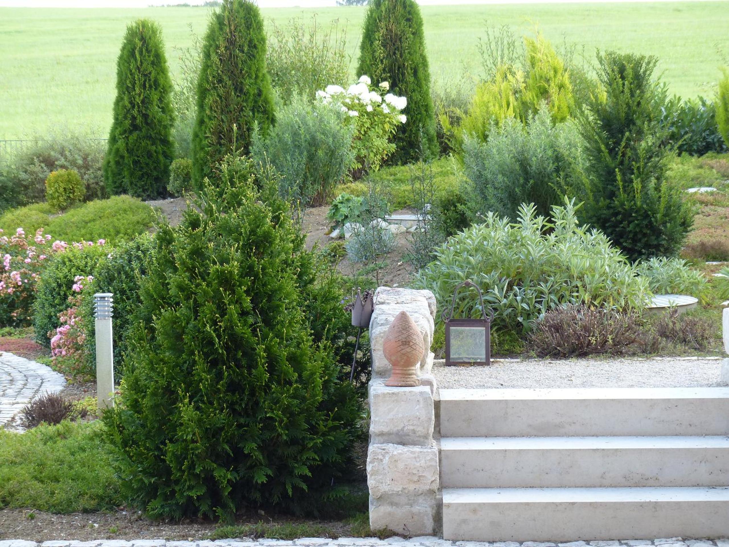 Photo 22