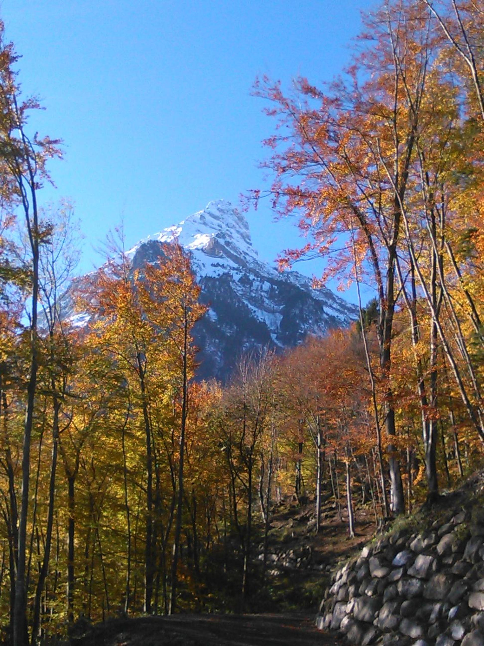 FEWO Rophaienblick