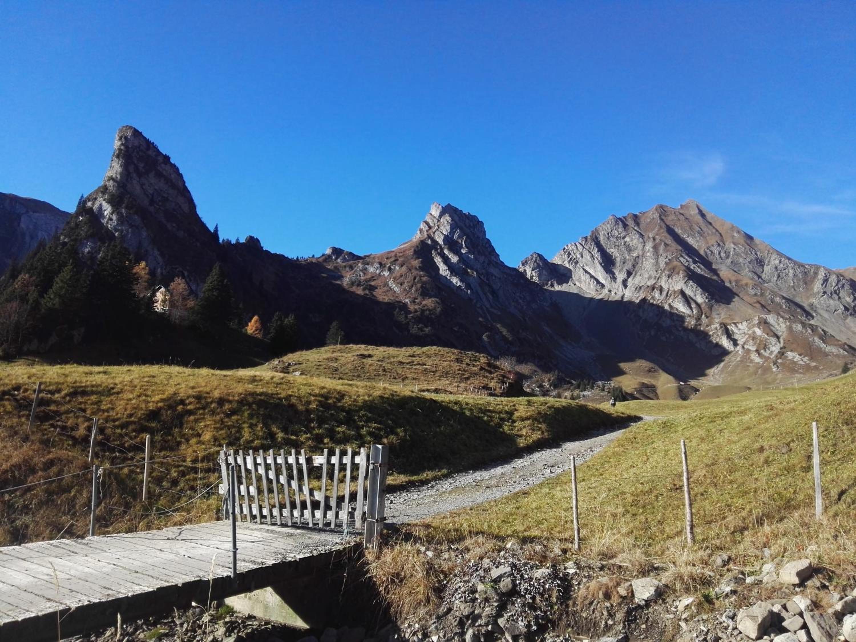 FEWO Rophaienblick