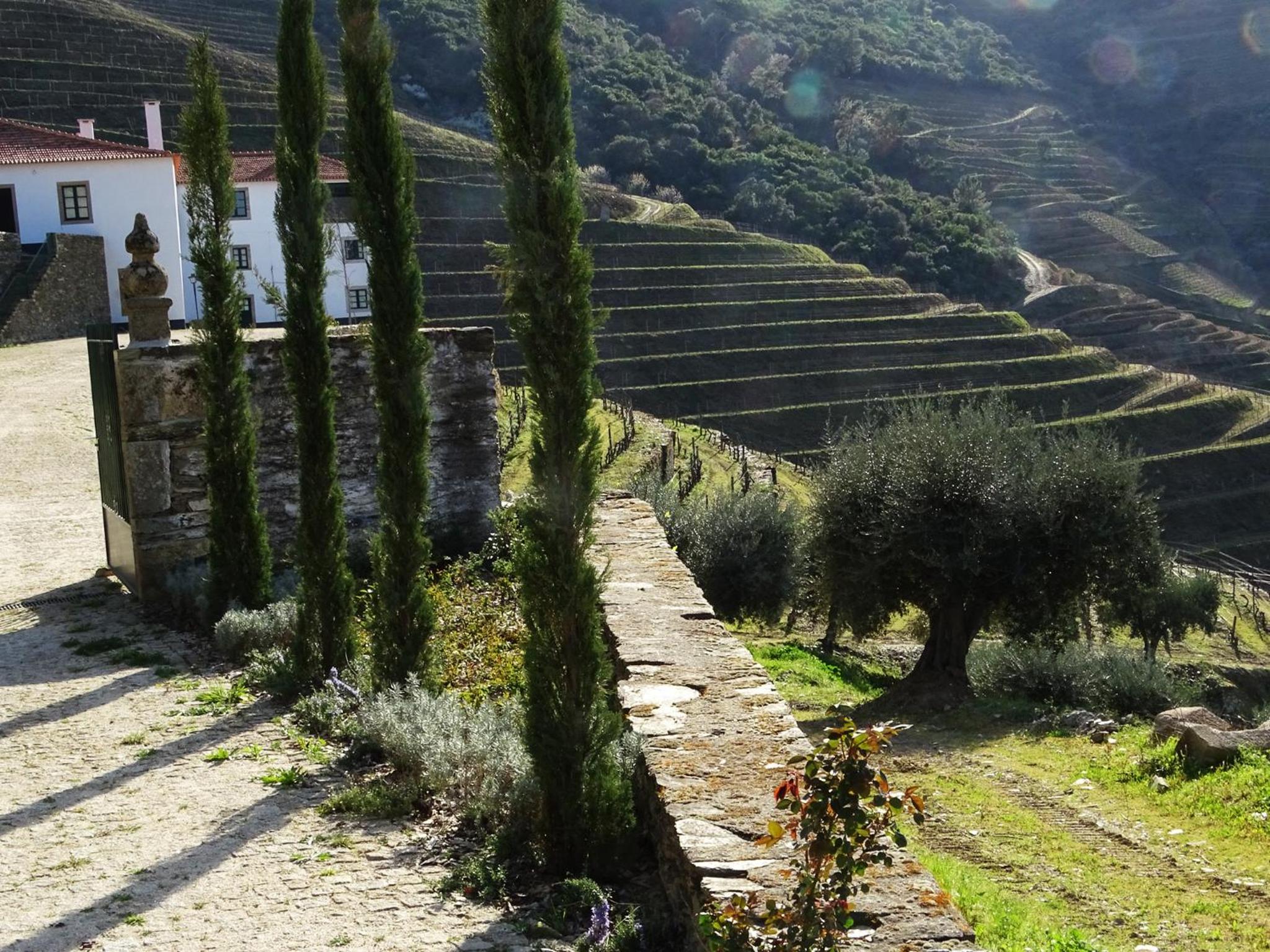 Quinta da Gricha