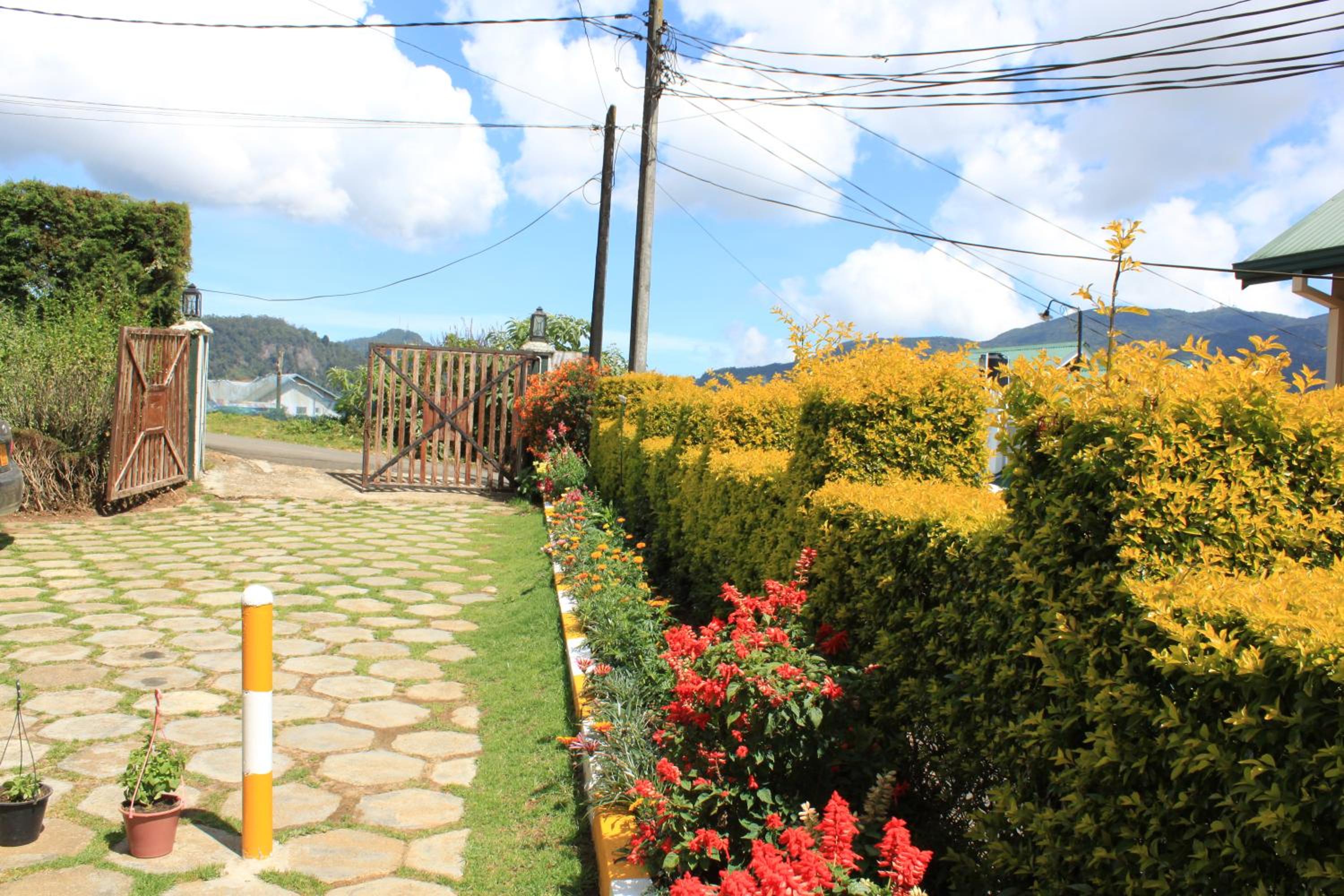 Photo 20