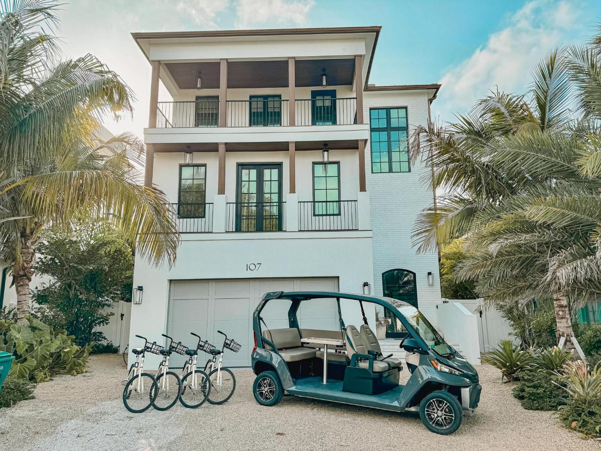 Palmetto Paradise