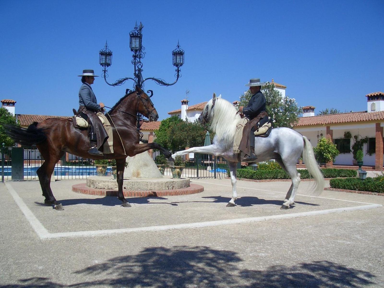 Cortijo de Frías view 5