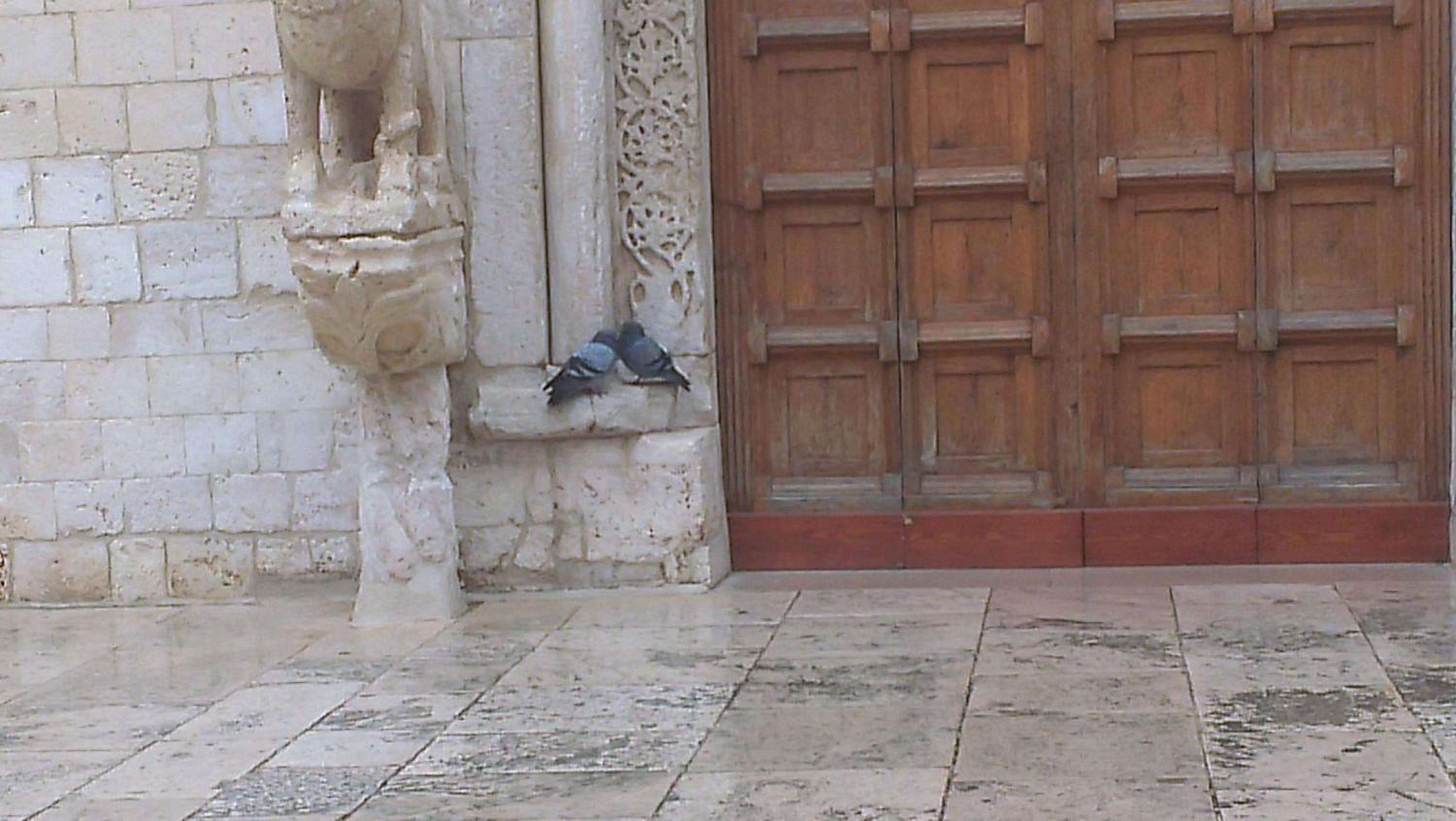 Photo 52