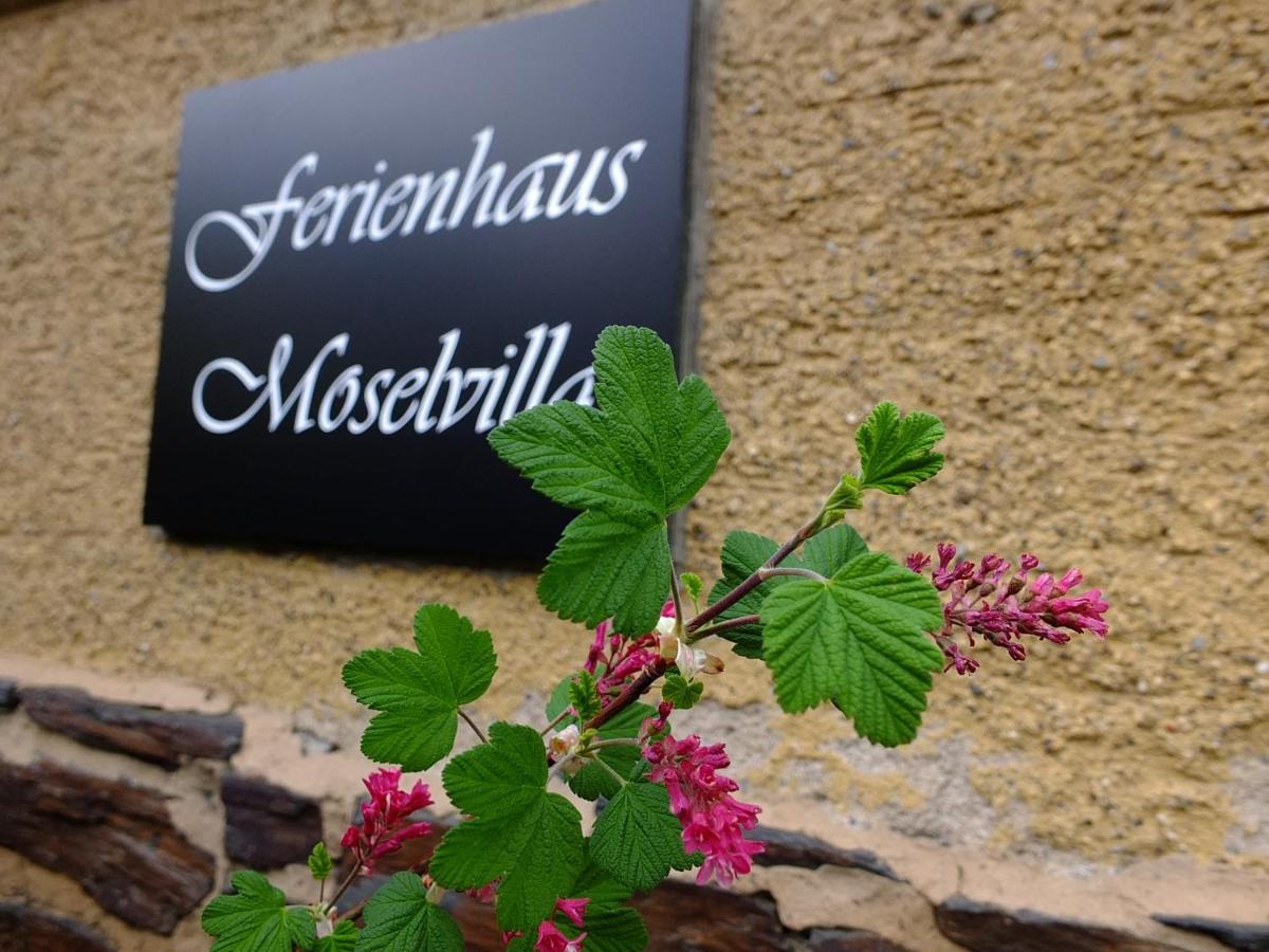Moselvilla Enkirch view 2