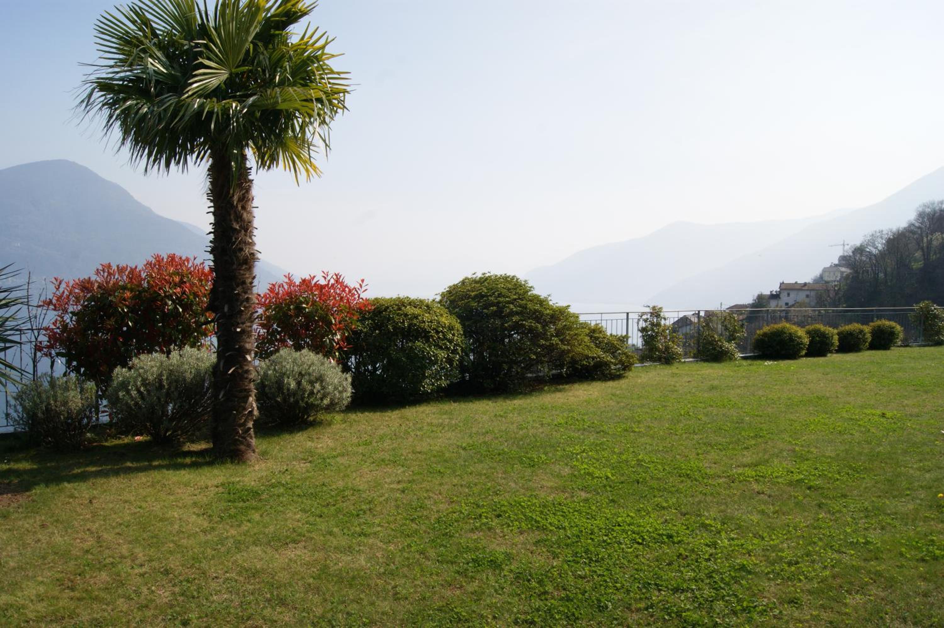Brilago 1