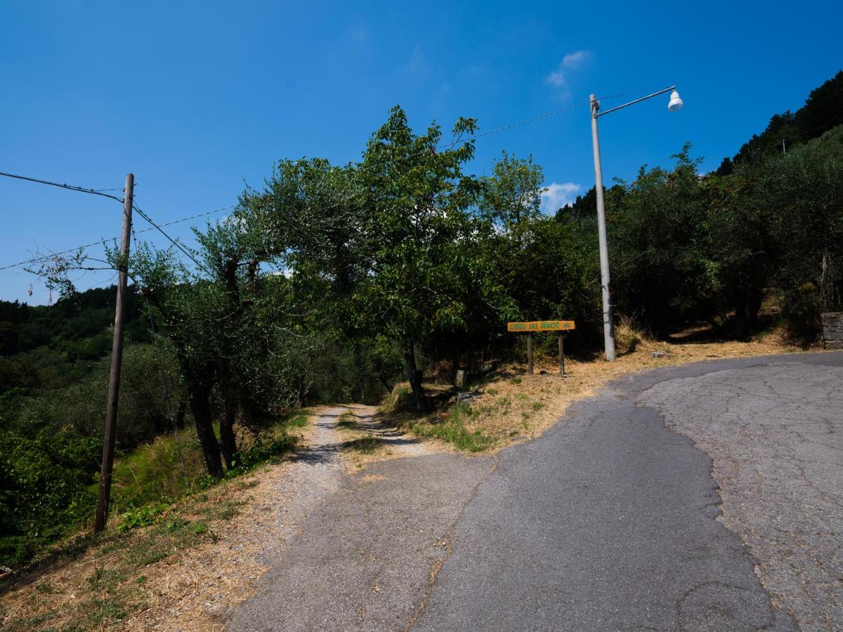 Orto dei Bruchi view 4