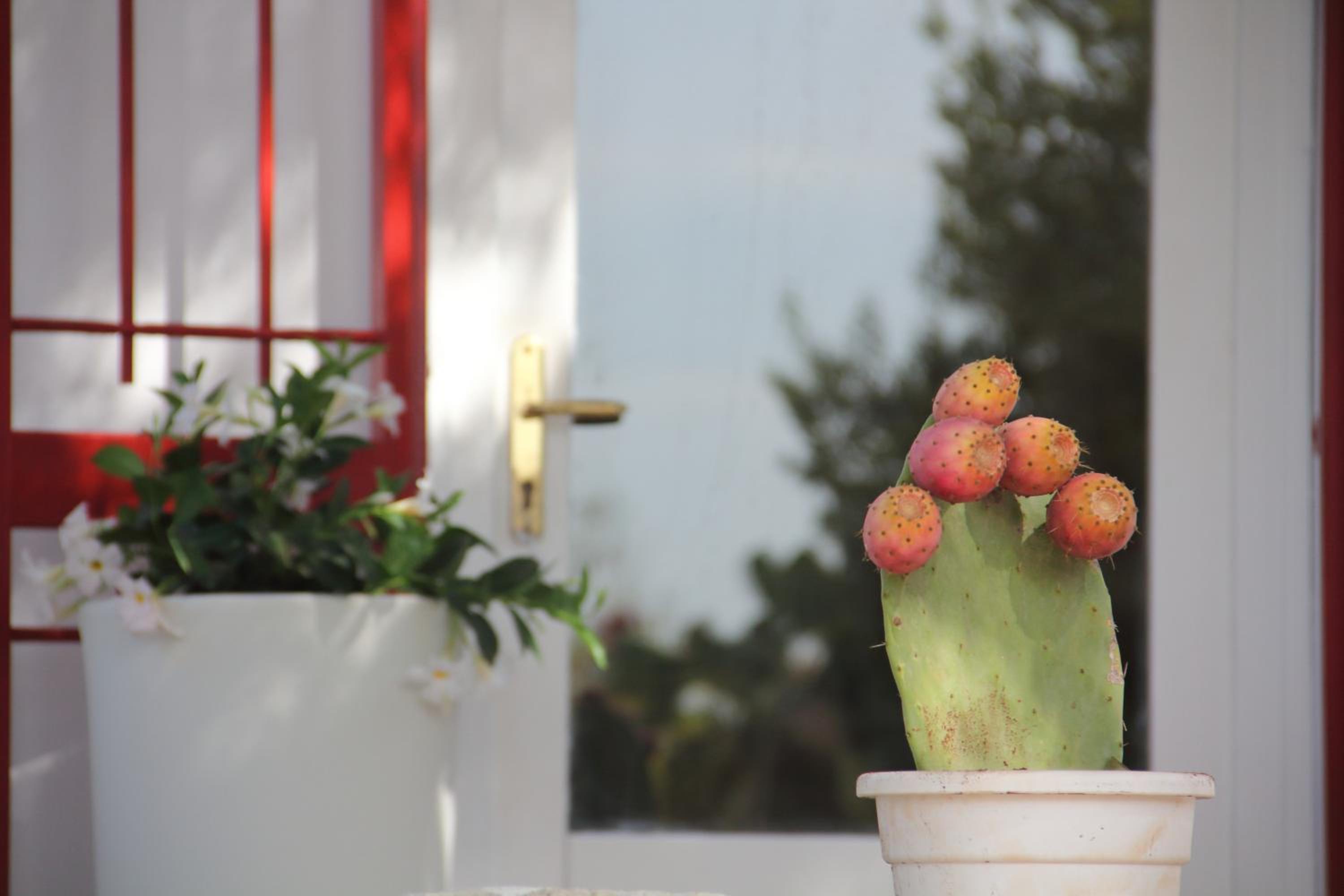 Trullo Riccardo view 5