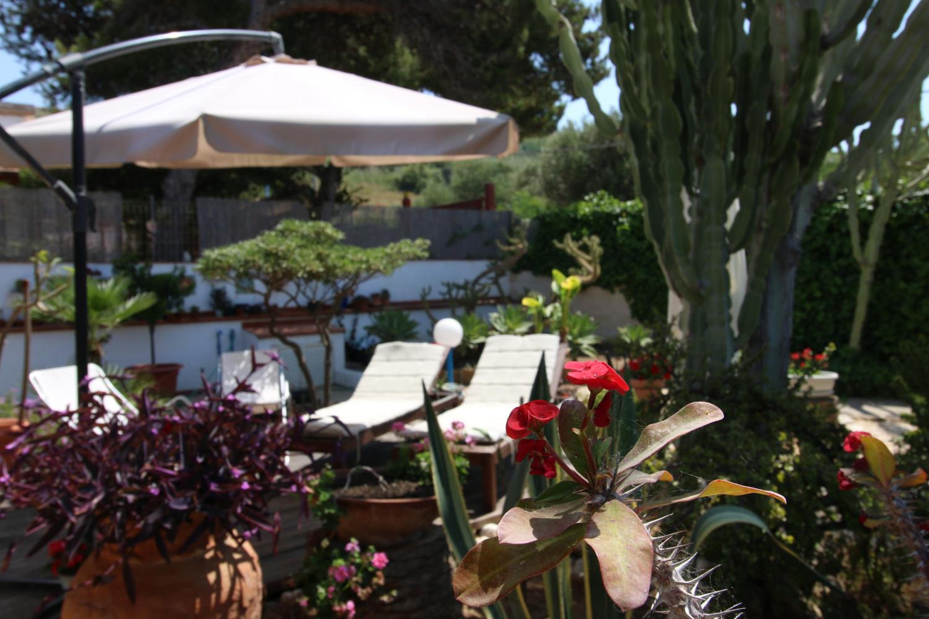 Villa Cetta B&B, photo 36