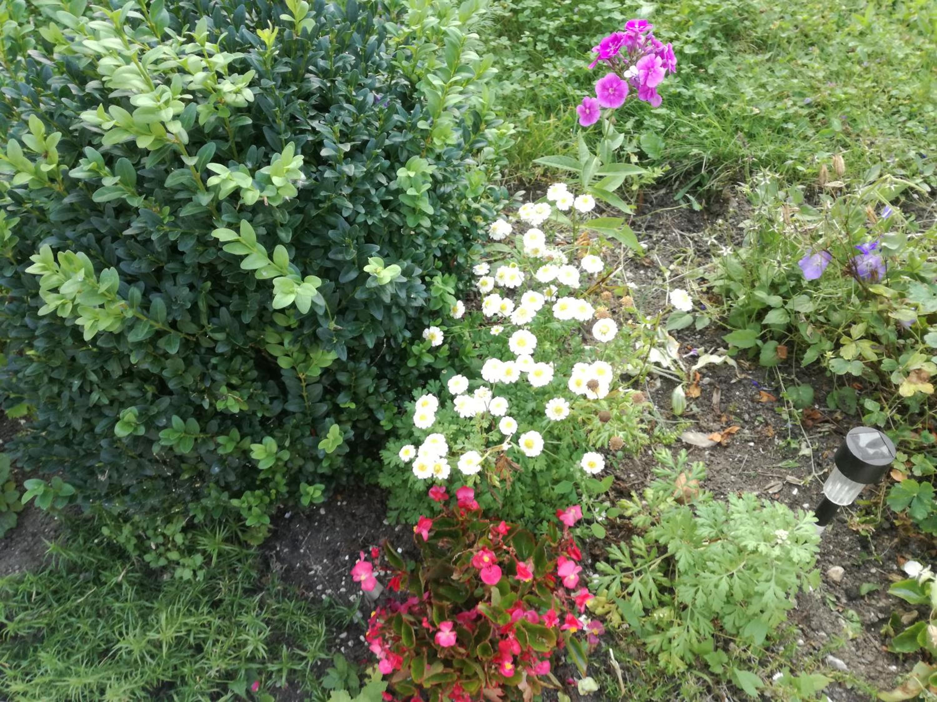 Photo 27