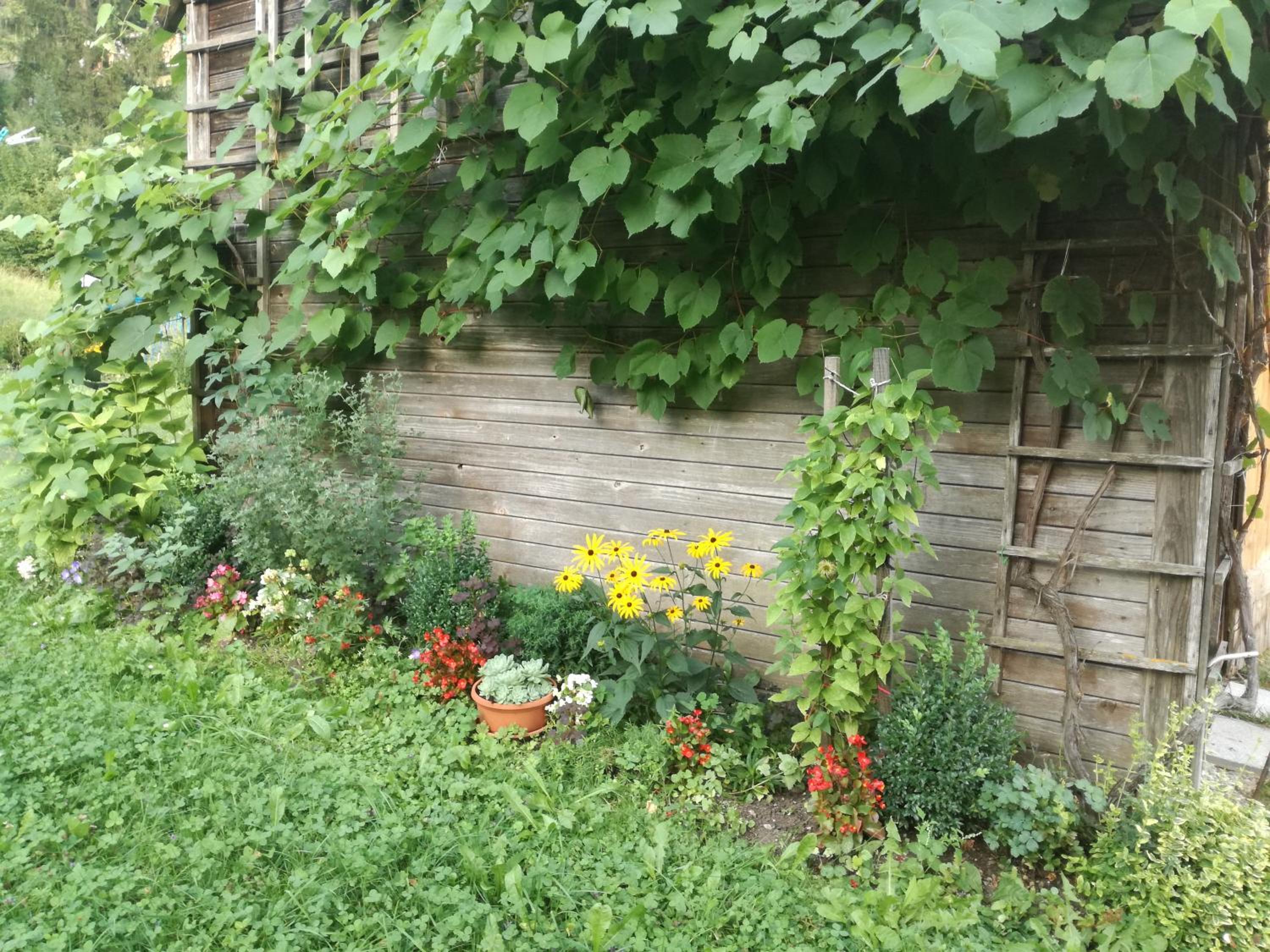 Photo 48