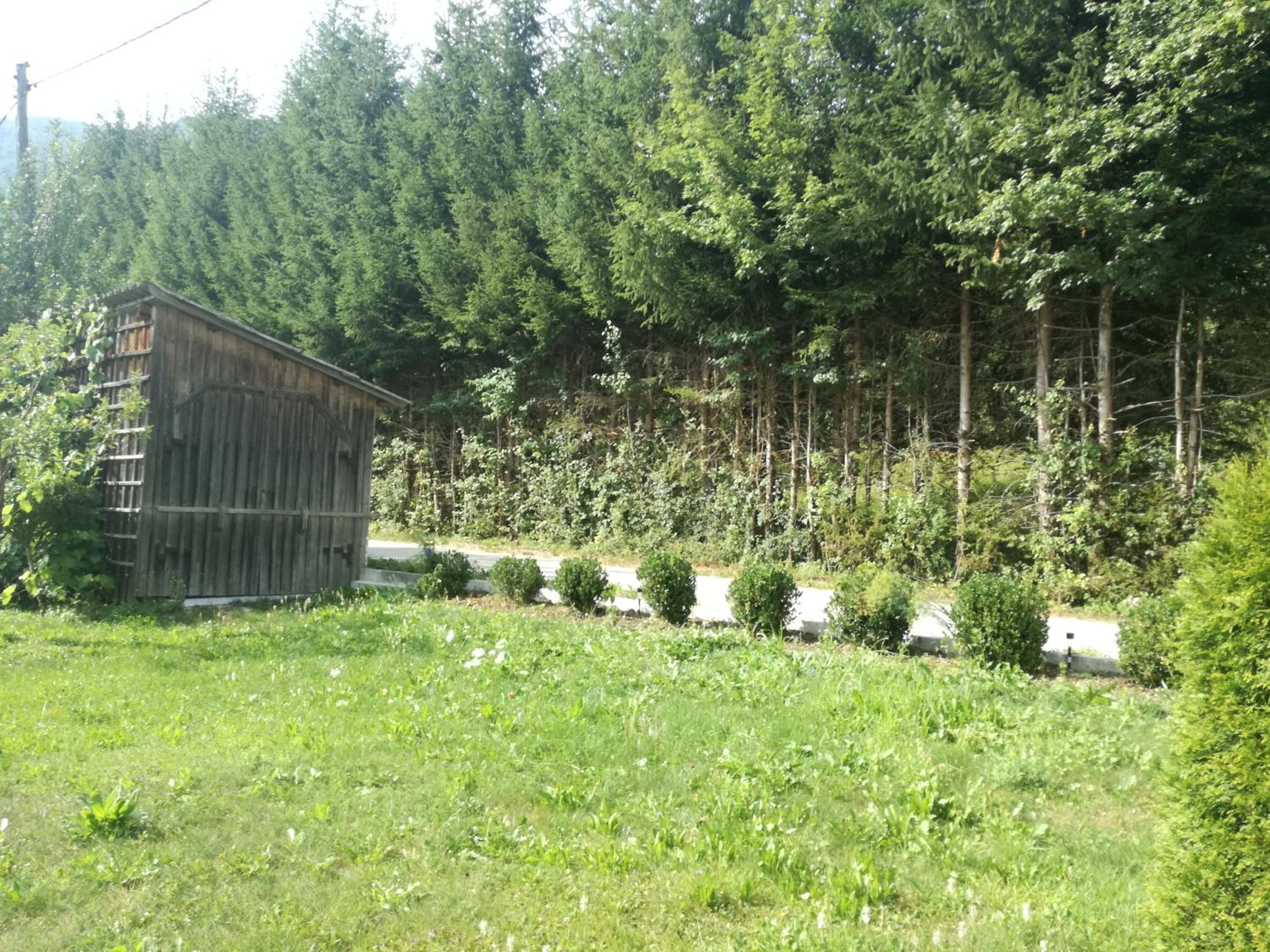 Photo 25