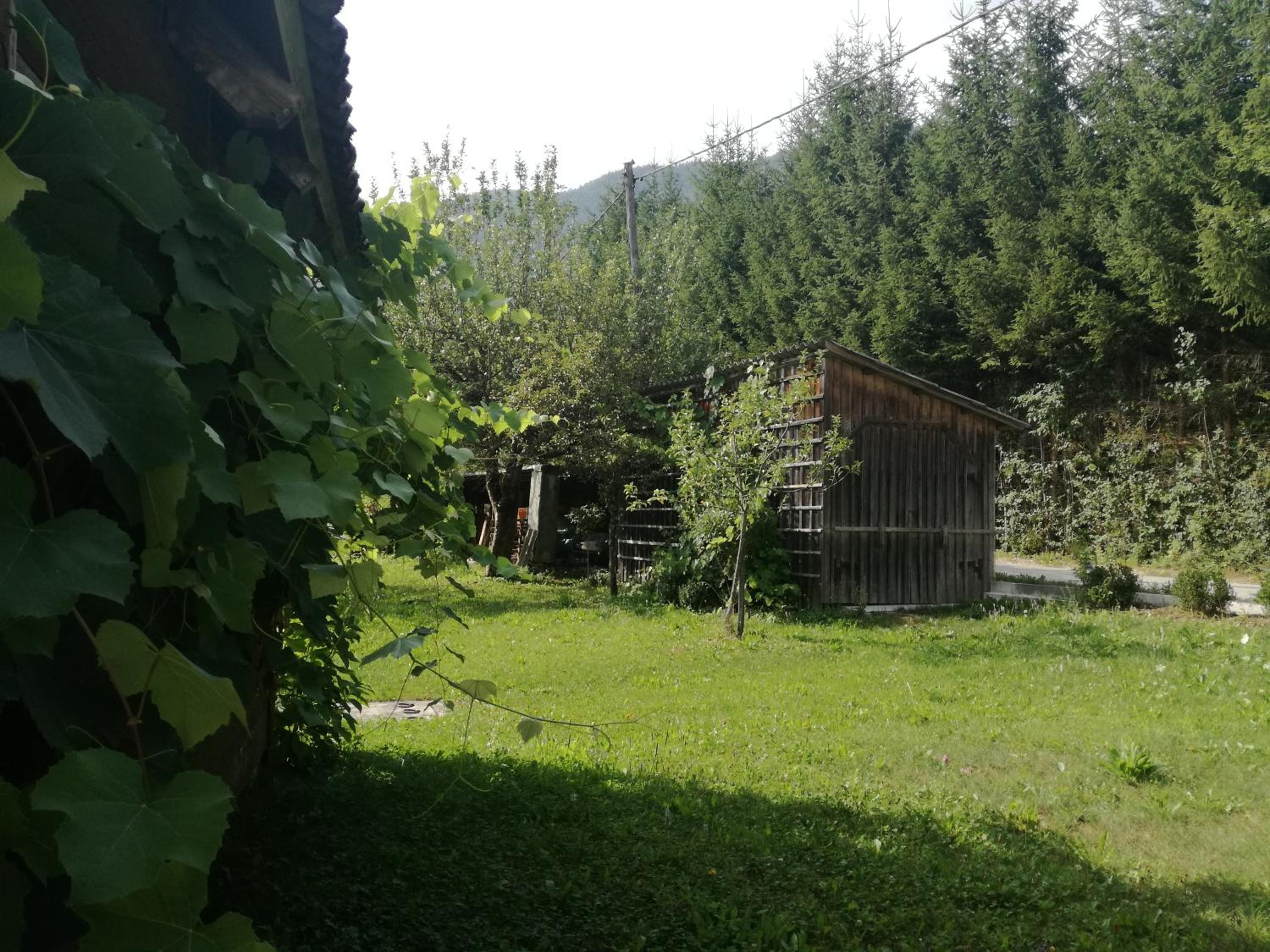 Photo 23
