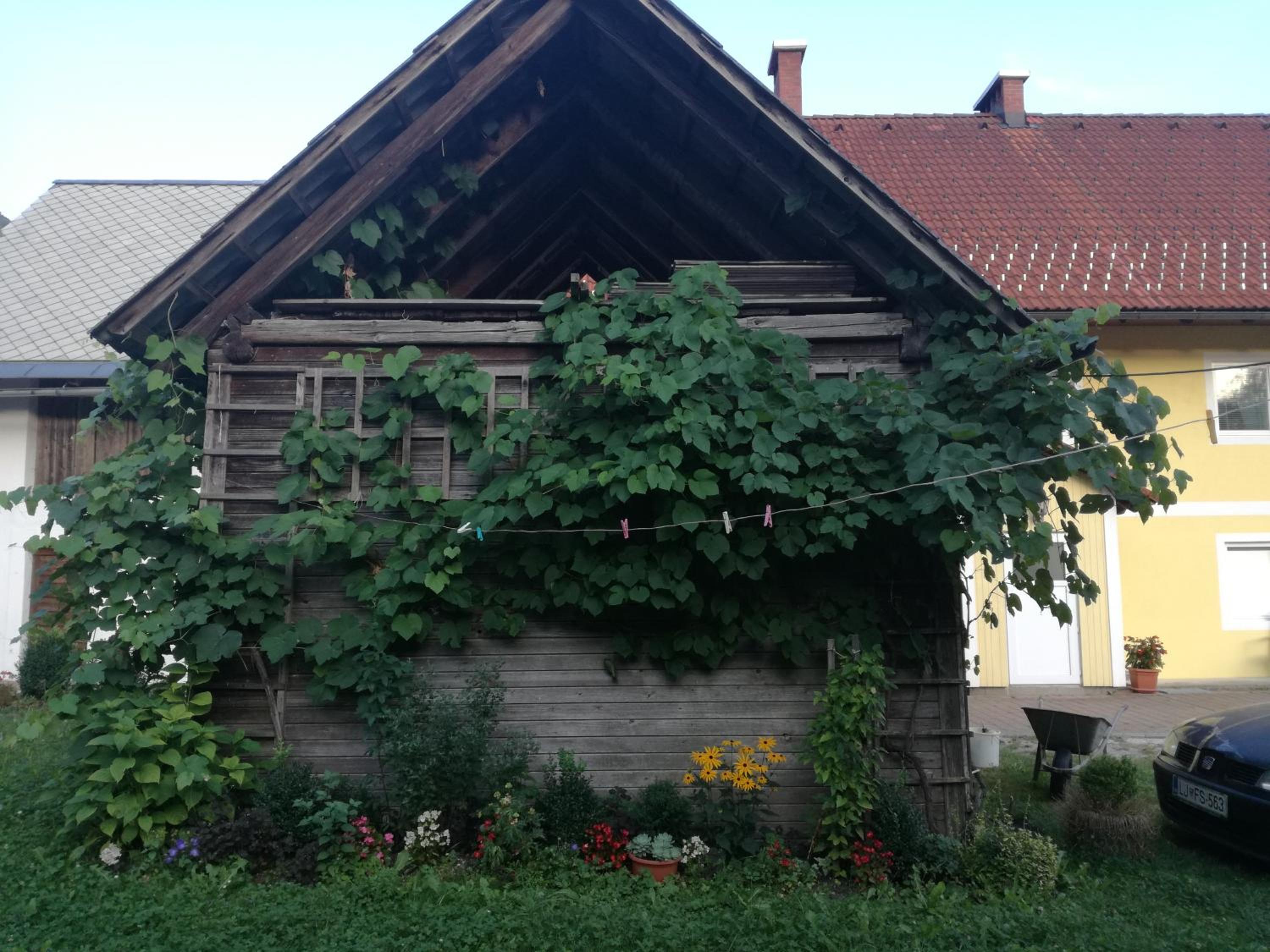 Photo 15