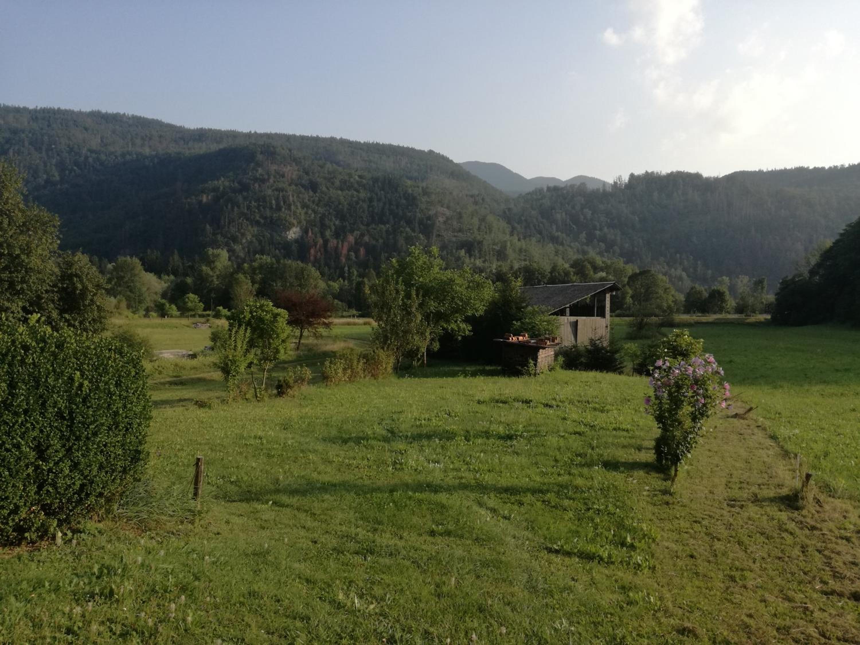 Photo 20