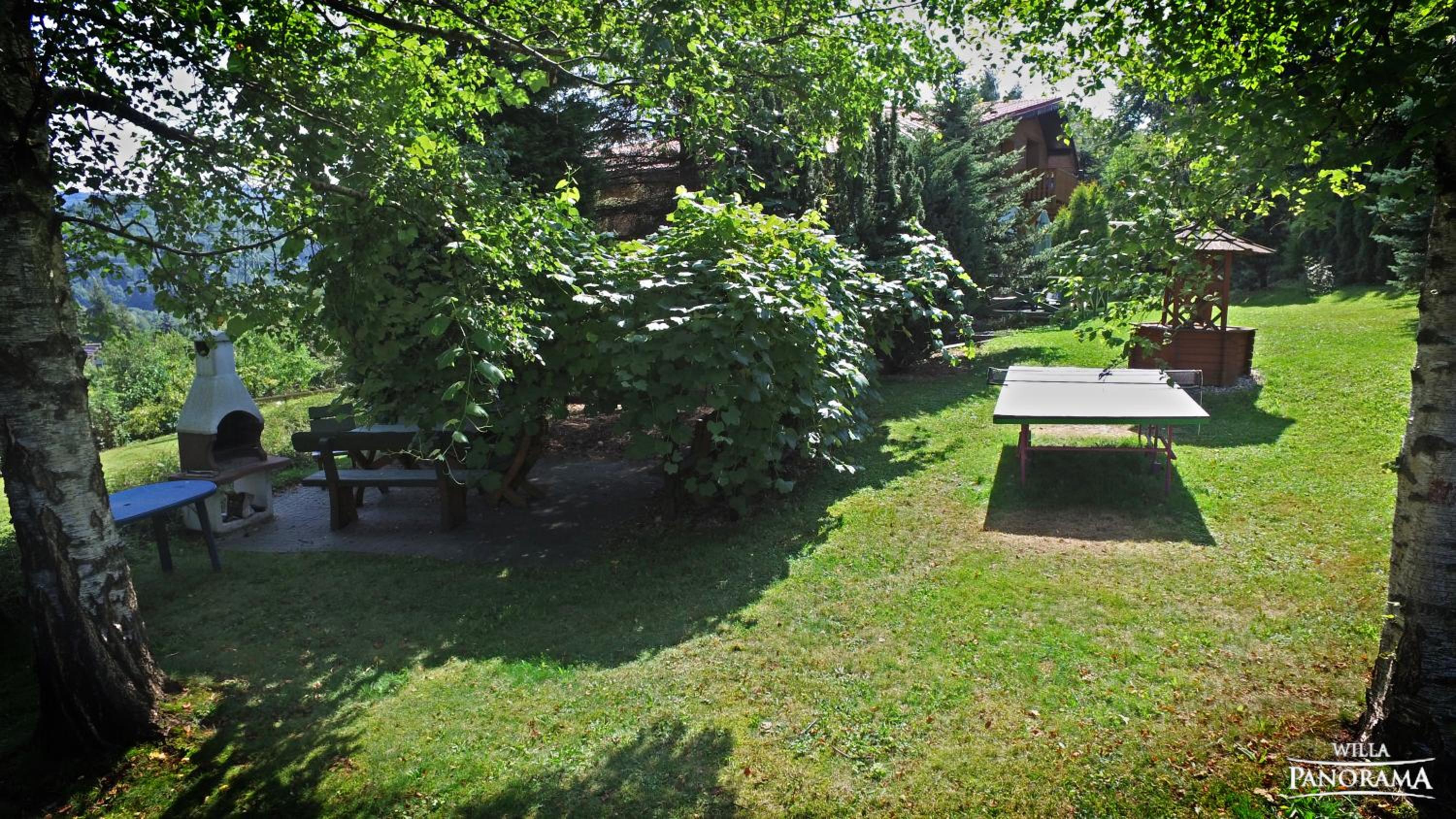 Photo 49