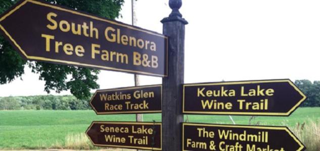 The South Glenora Tree Farm view 5