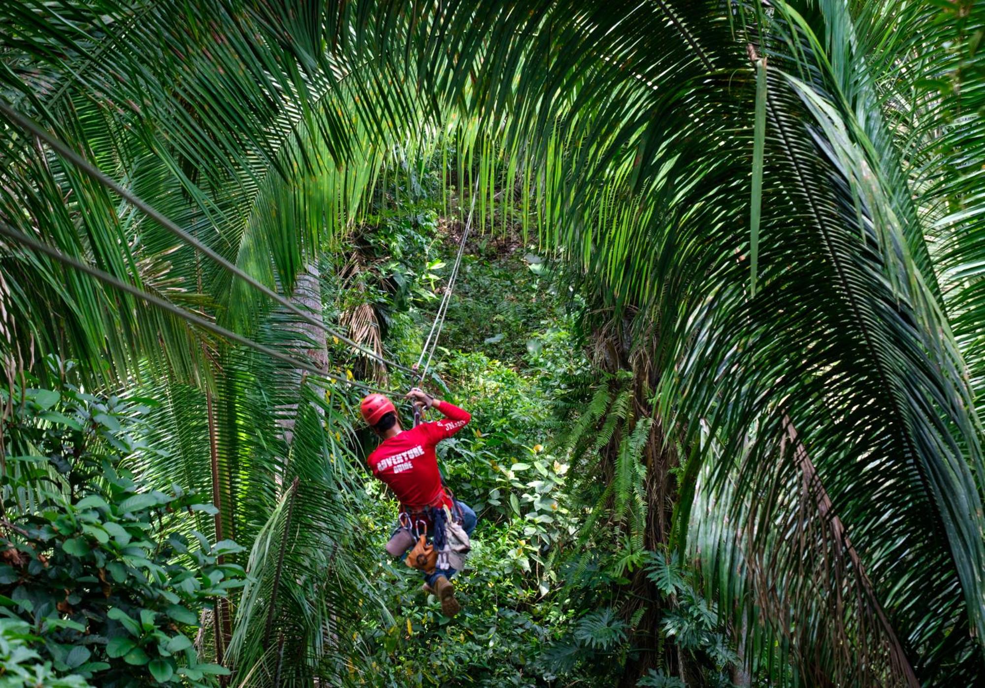 Bocawina Rainforest Resort