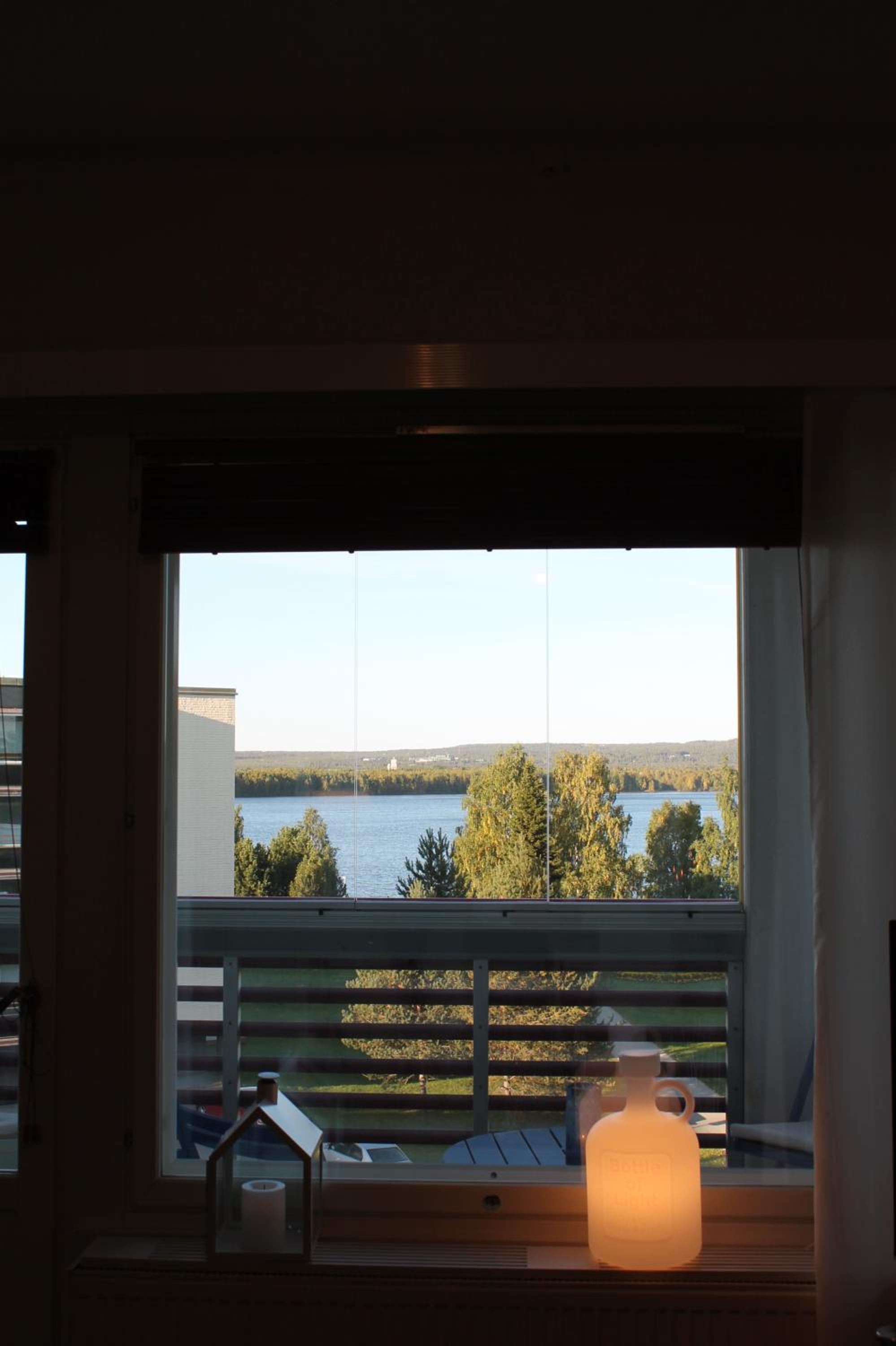 The cosy apartment with own private sauna and balcony