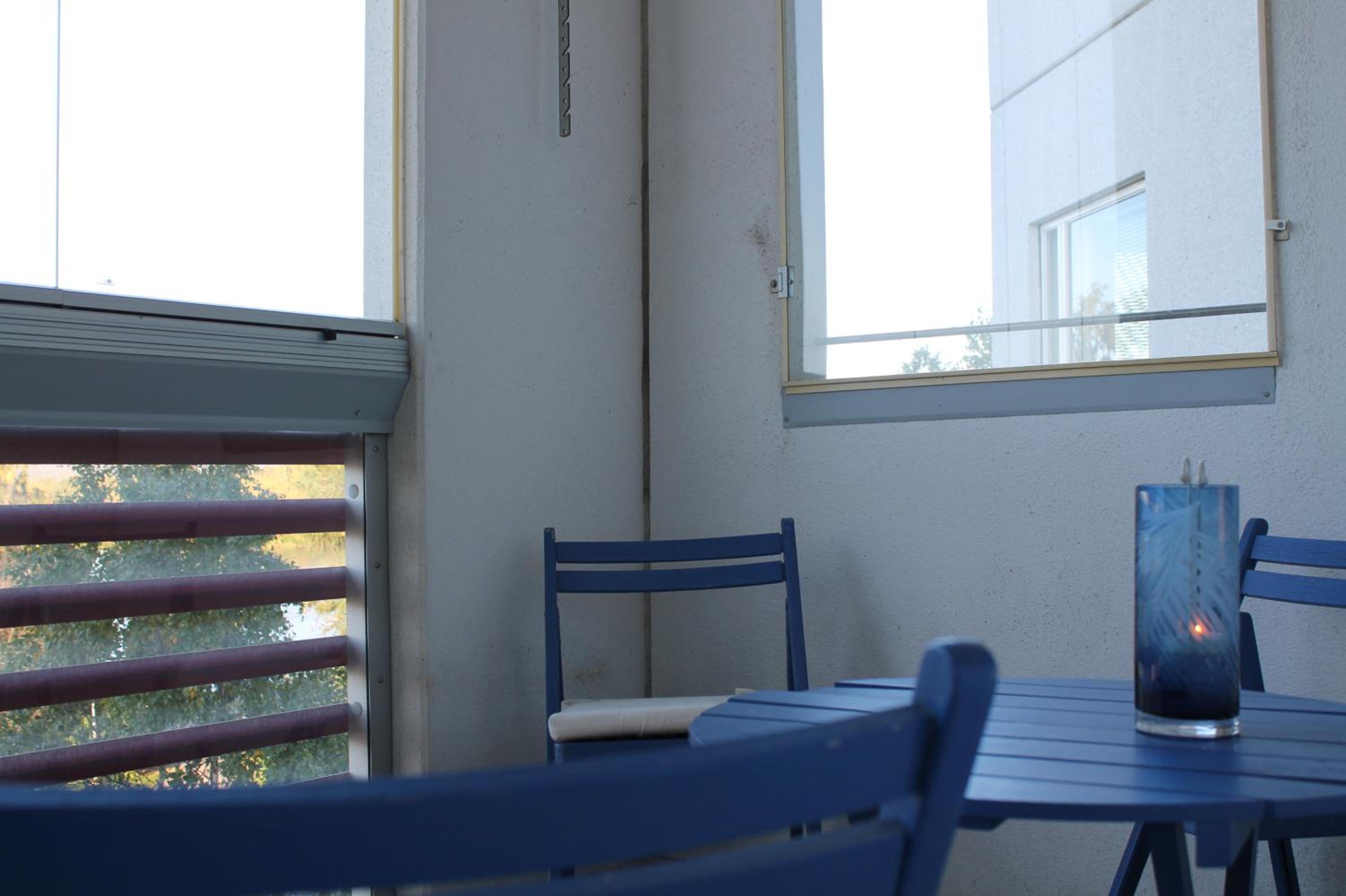 The cosy apartment with own private sauna and balcony