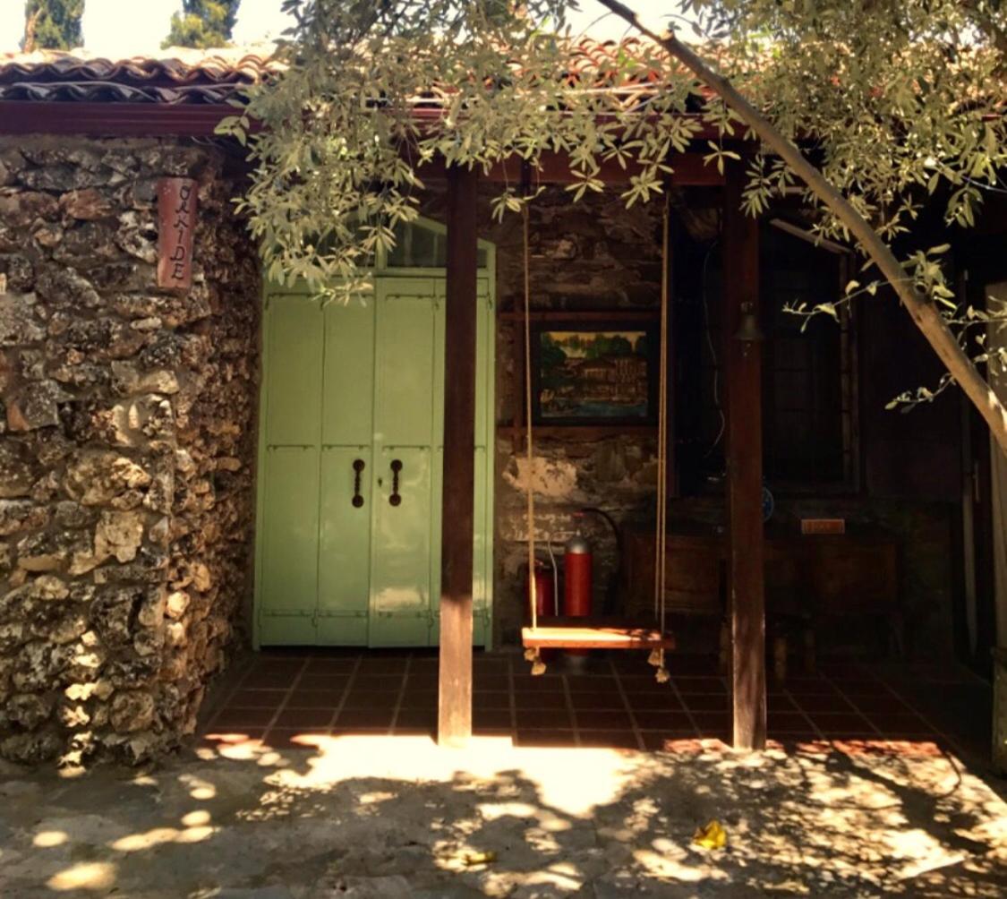 Photo 11