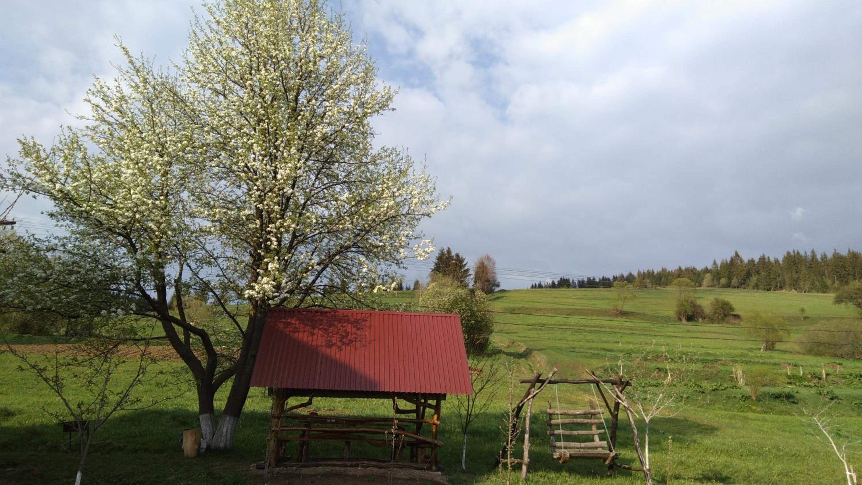 Gostynna Rodyna view 2