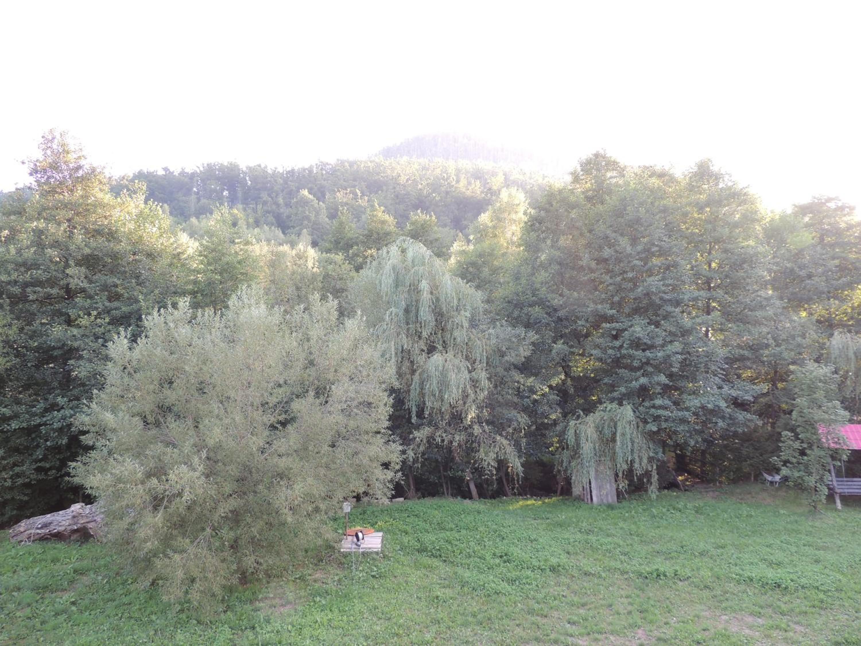 Photo 45