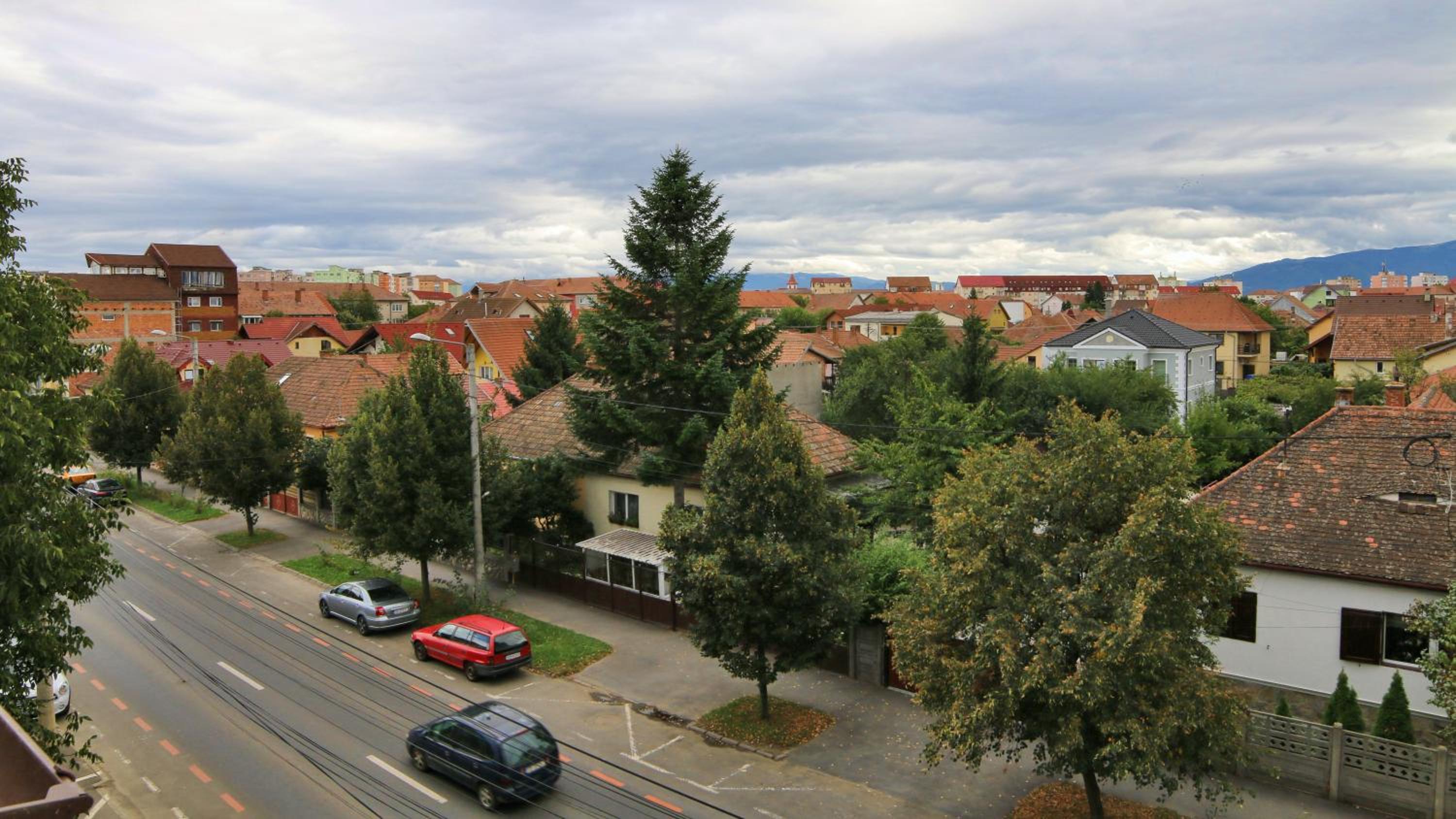 Photo 35