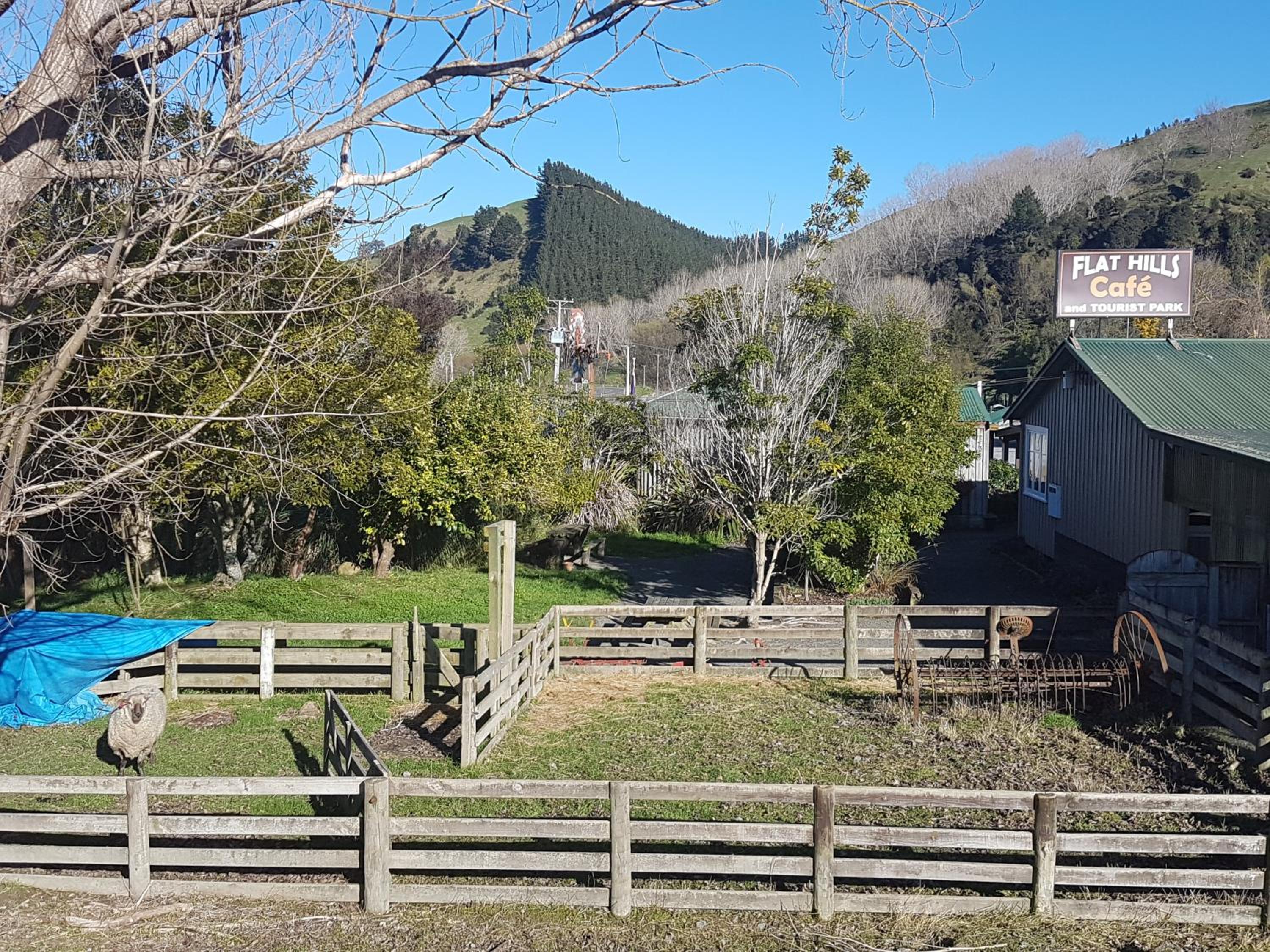 Flat Hills Tourist Park
