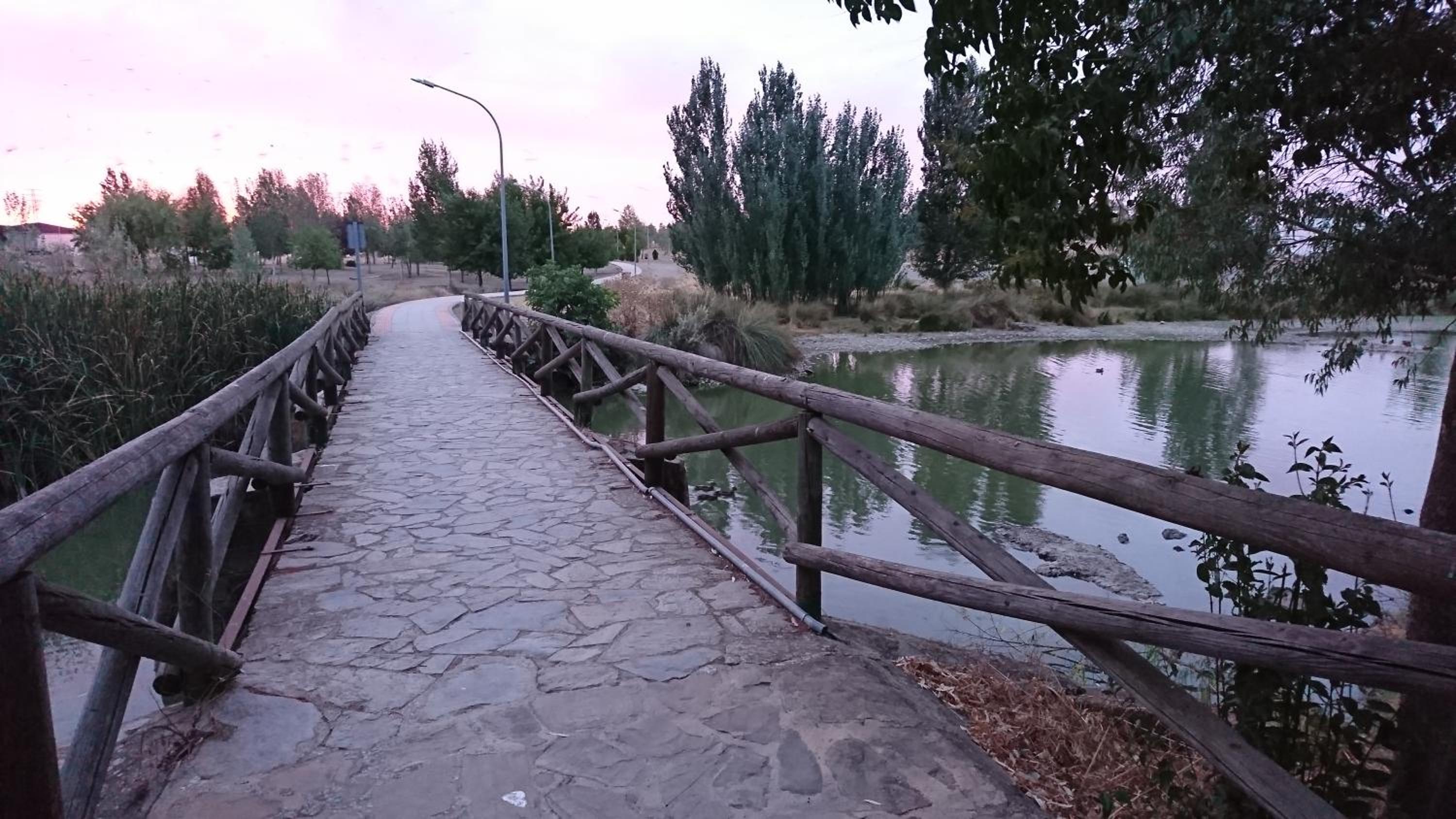 Photo 28