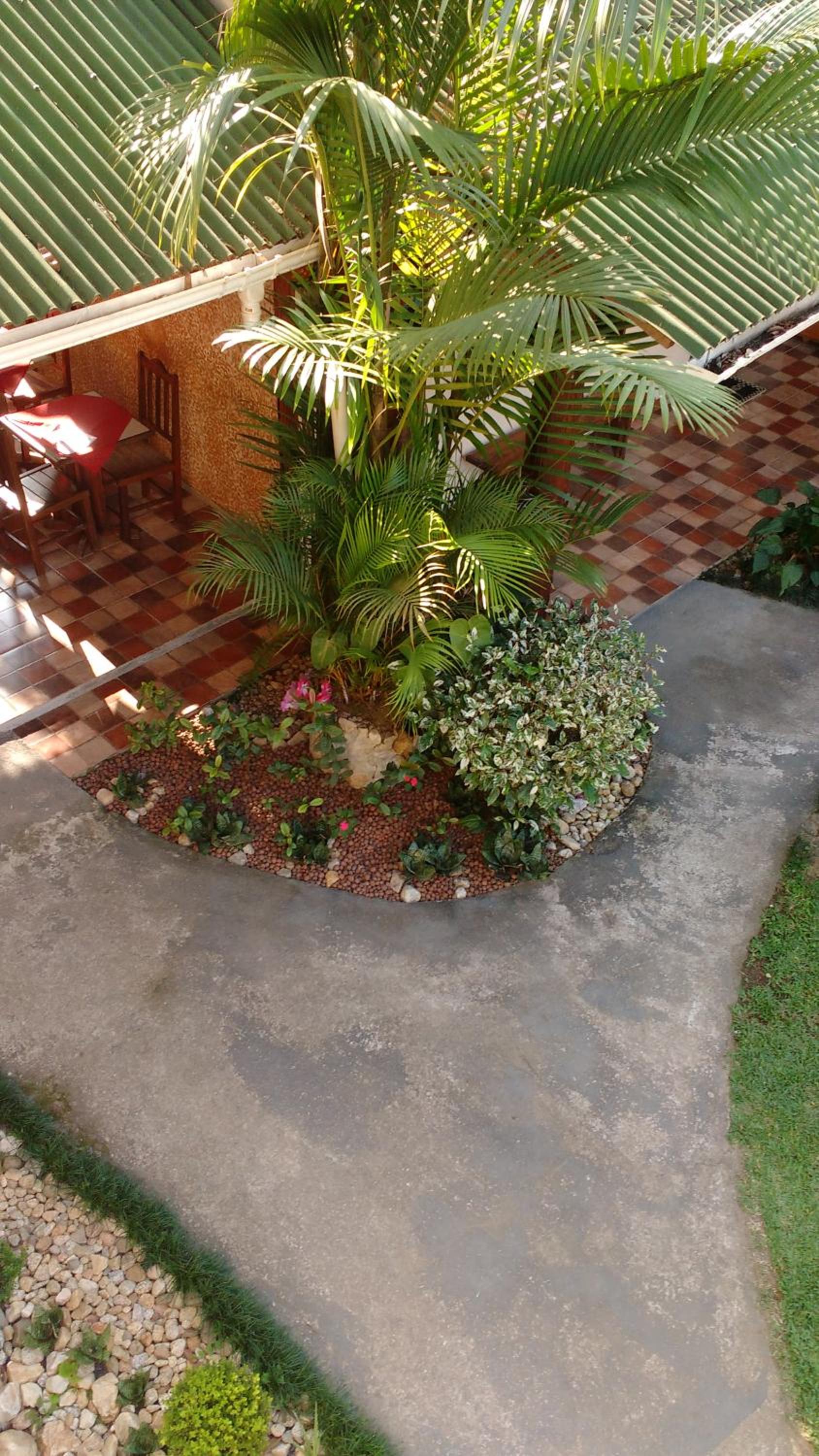 Photo 41