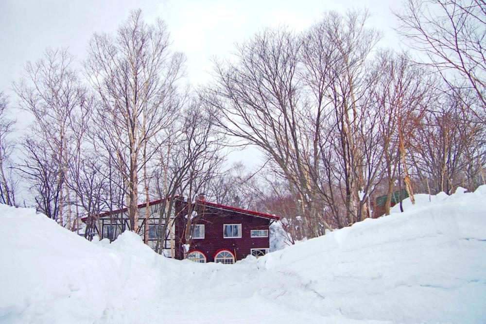 Annupuri Oasis Lodge