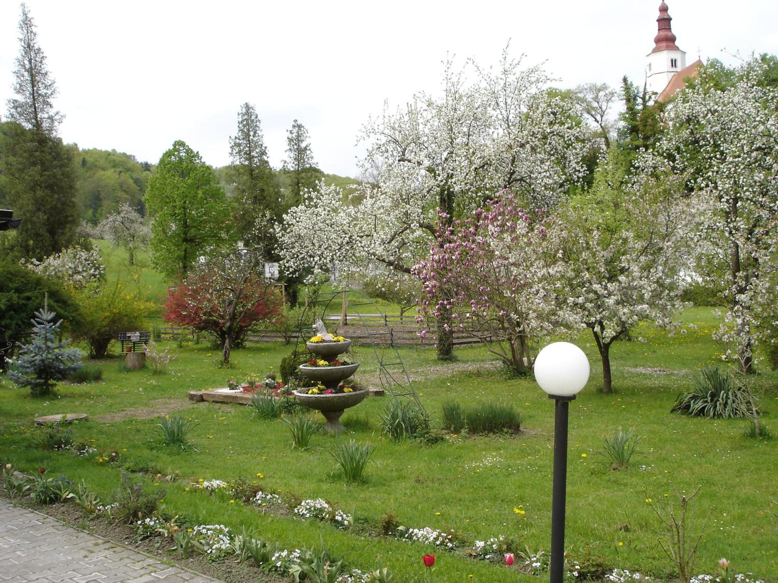 Photo 29