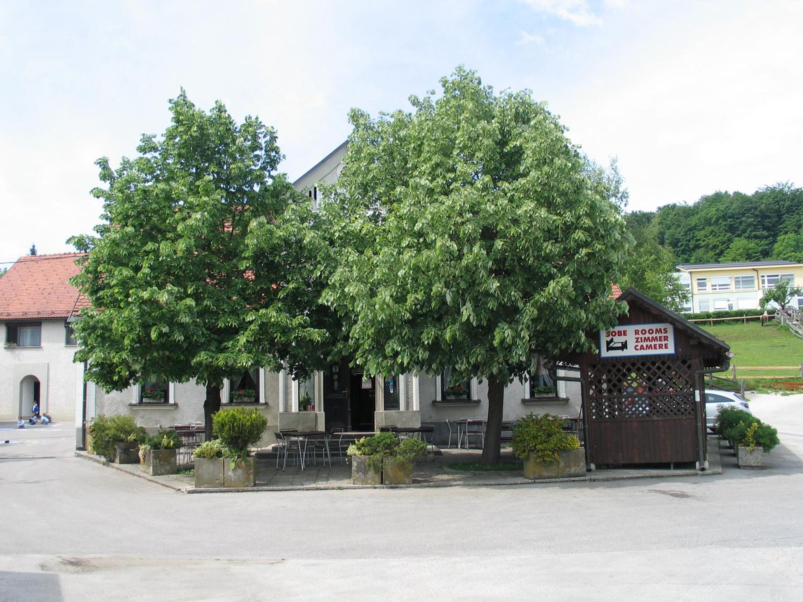Photo 21
