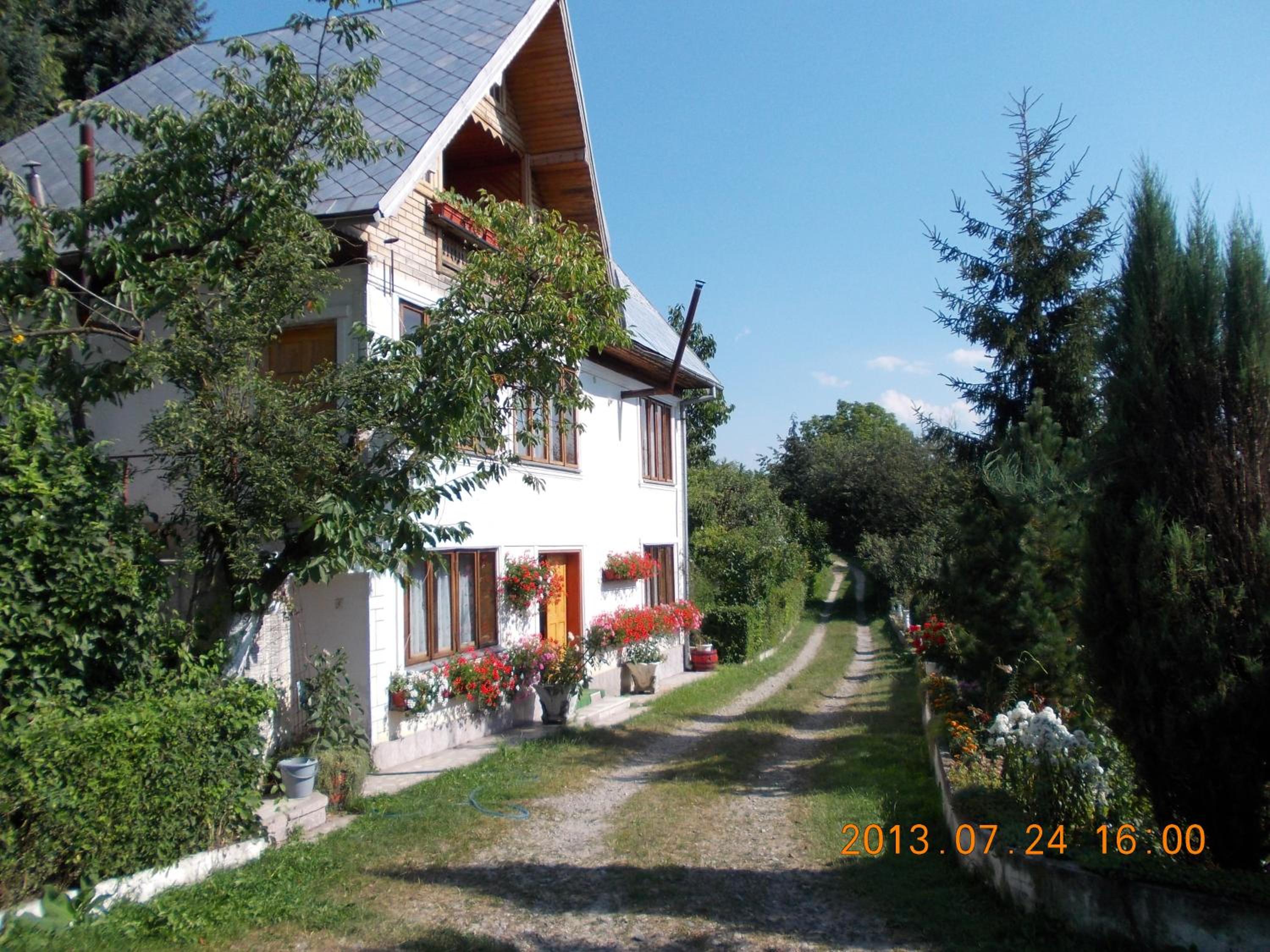 Photo 32